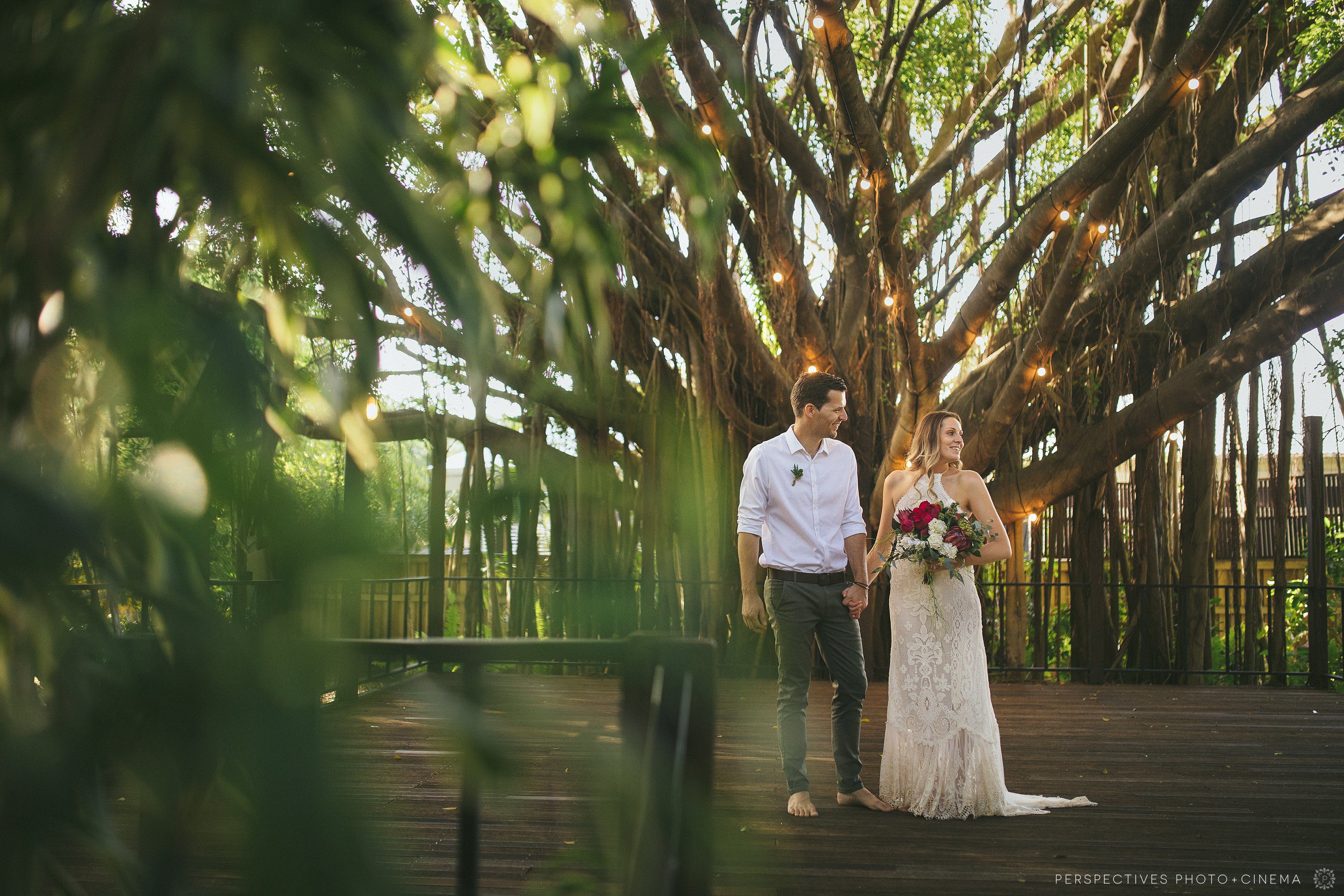 Fig Tree Grand Chancellor Palm Cove