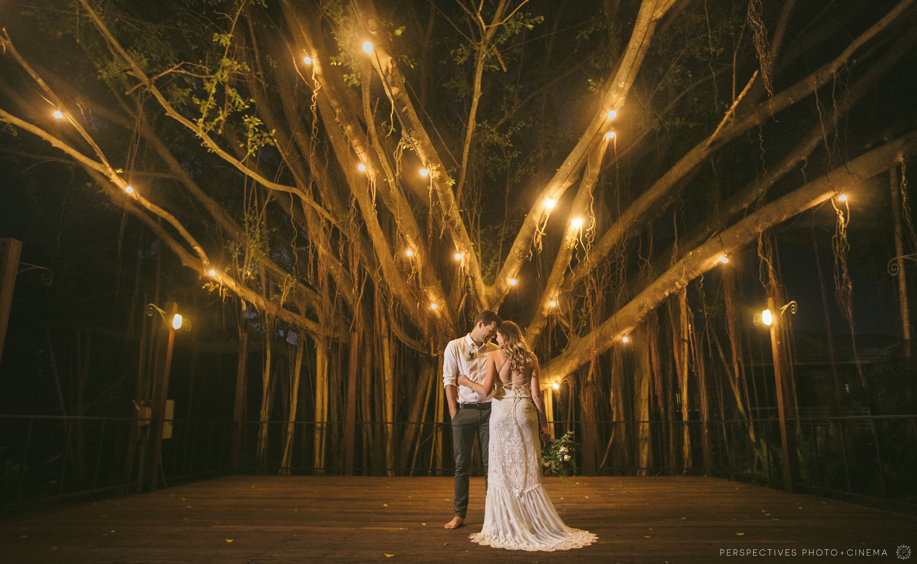 Fig Tree wedding photo Palm Cove