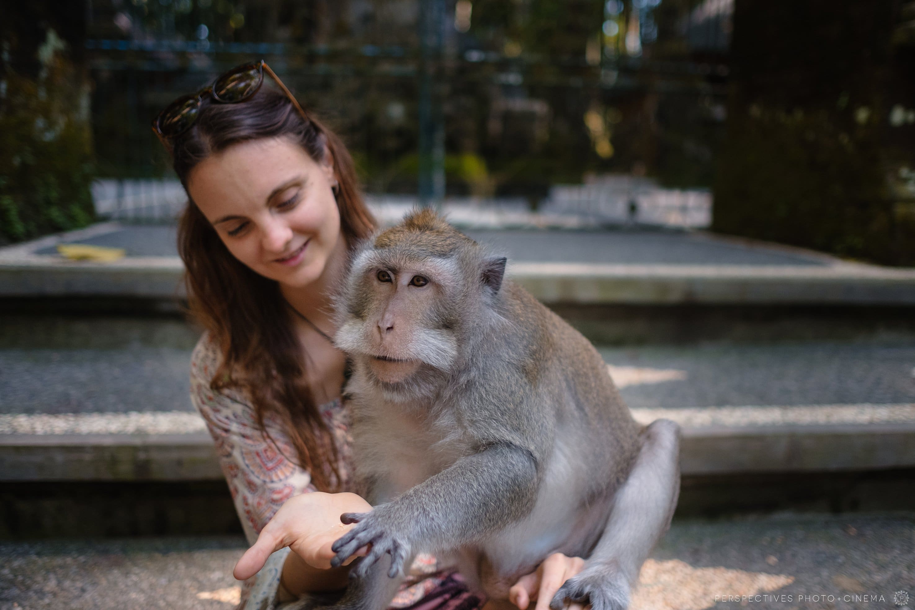 Sangeh monkey forest ubud