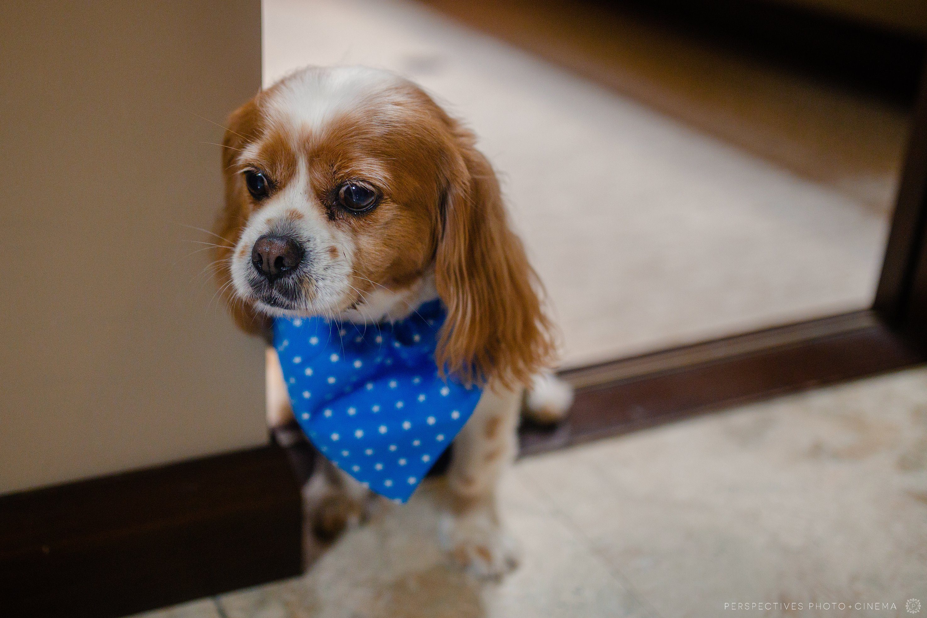 Trinity Beach Palace Cairns wedding photos
