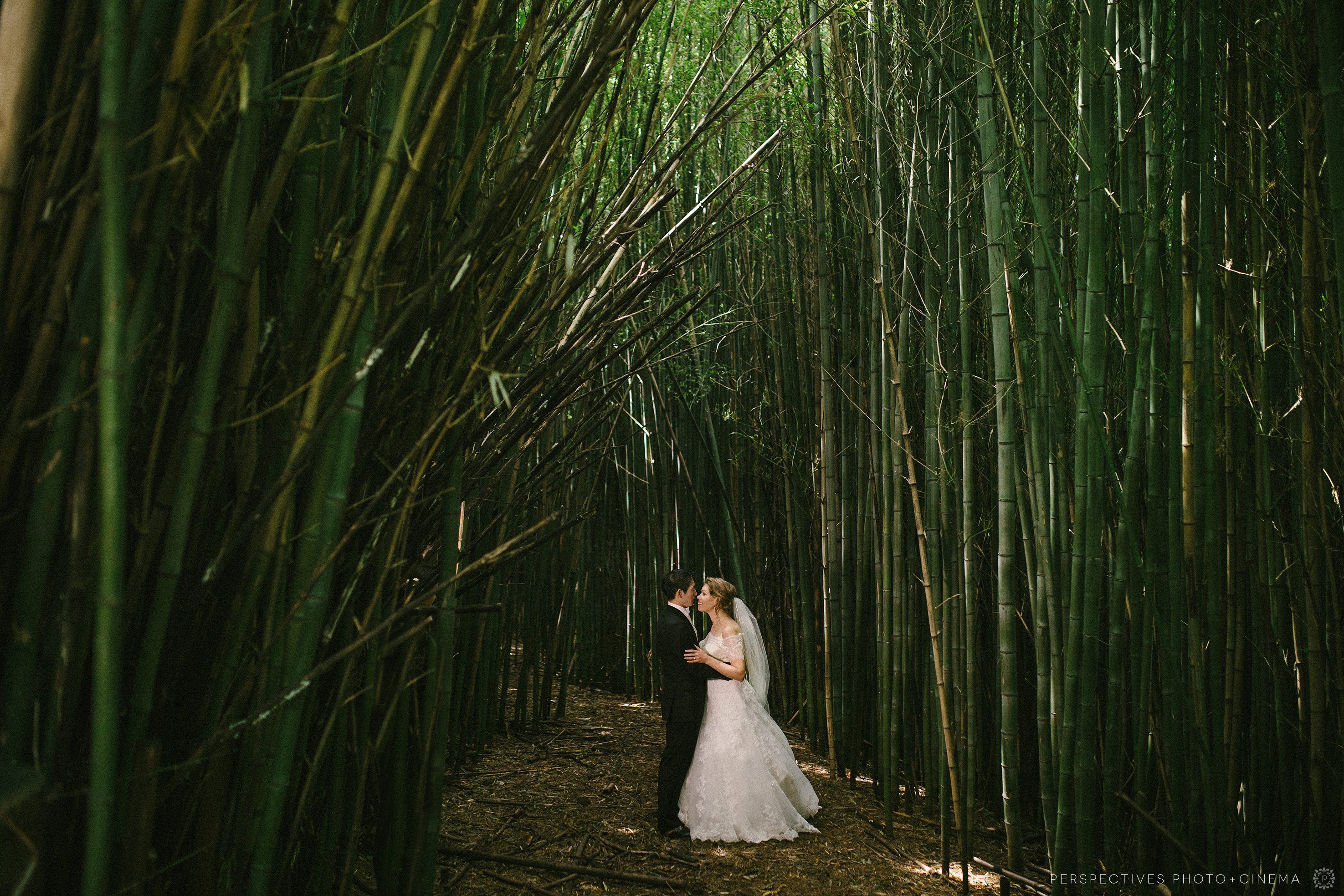 Tablelands wedding photos