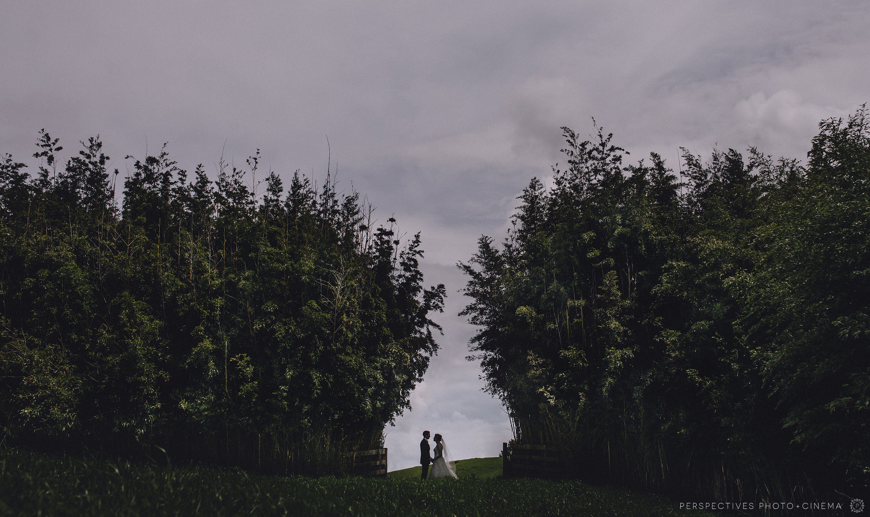 Tablelands wedding photos