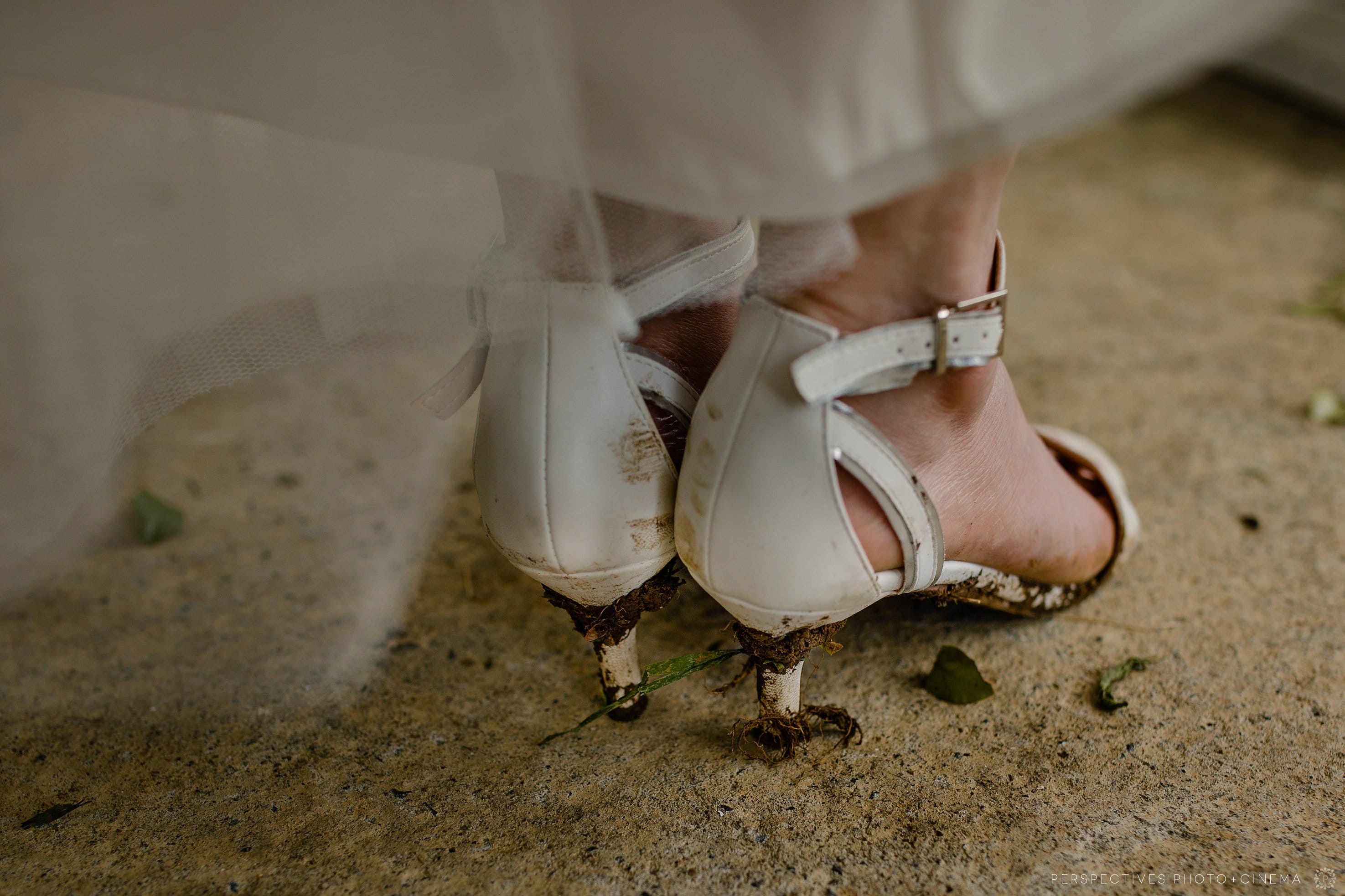 Tablelands wedding photos