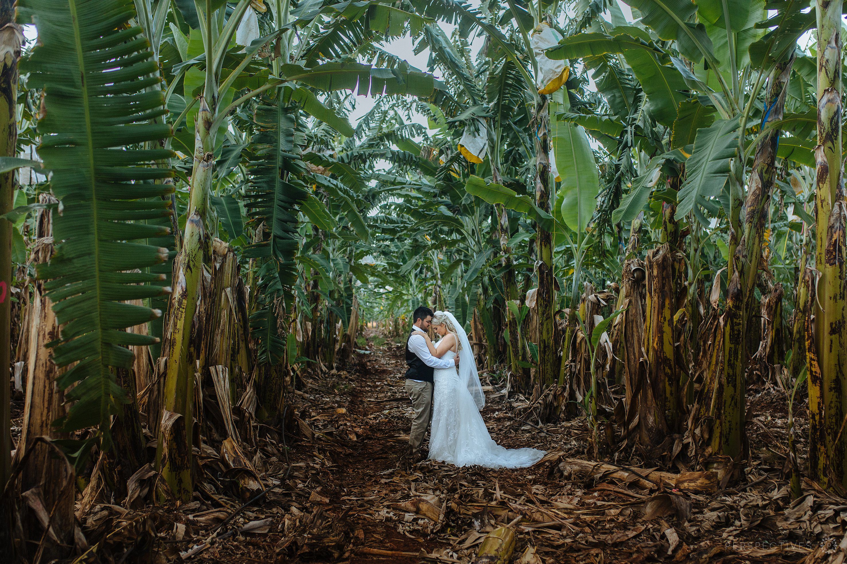 Cairns wedding photos bananas