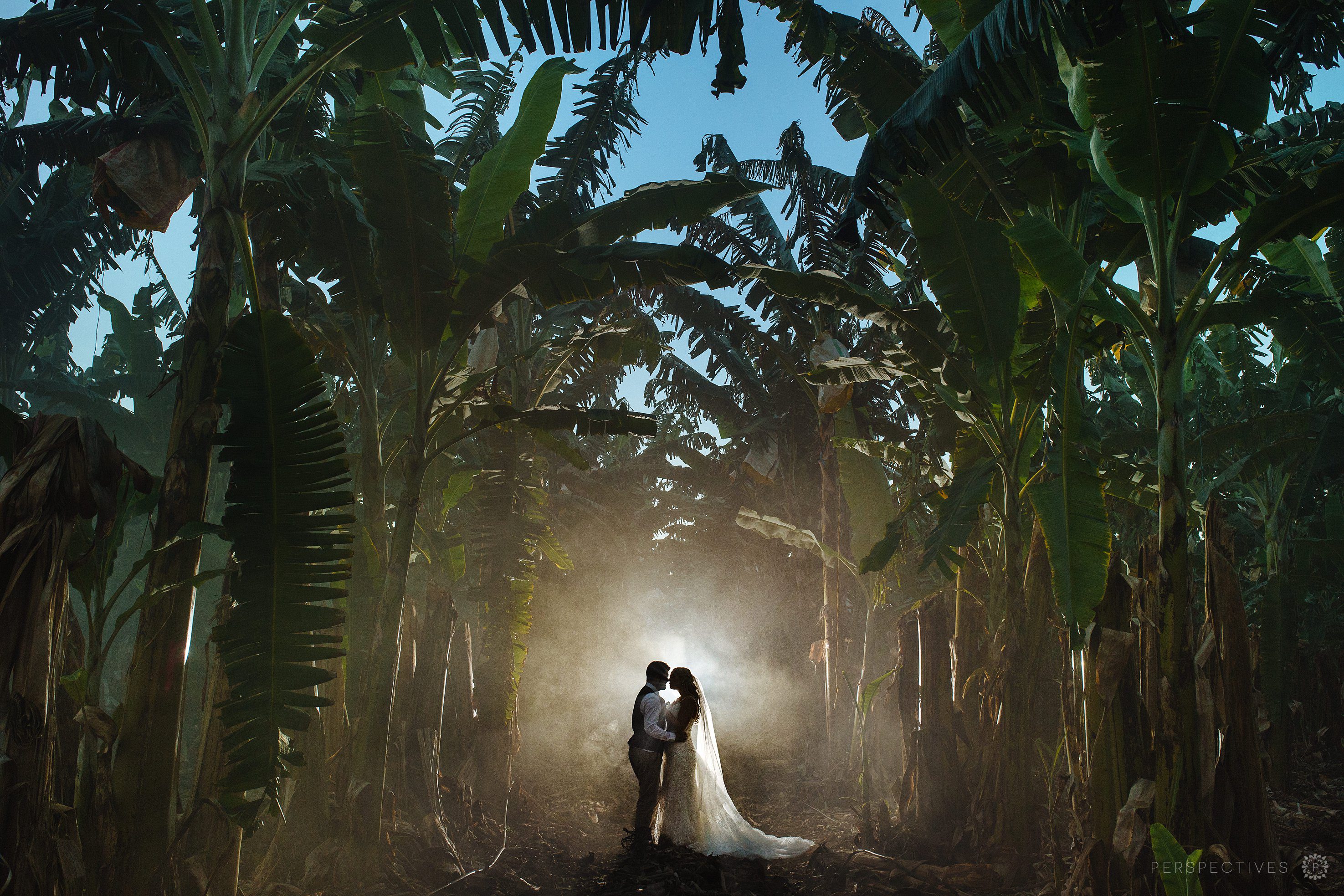 Smoke bomb wedding photos Cairns