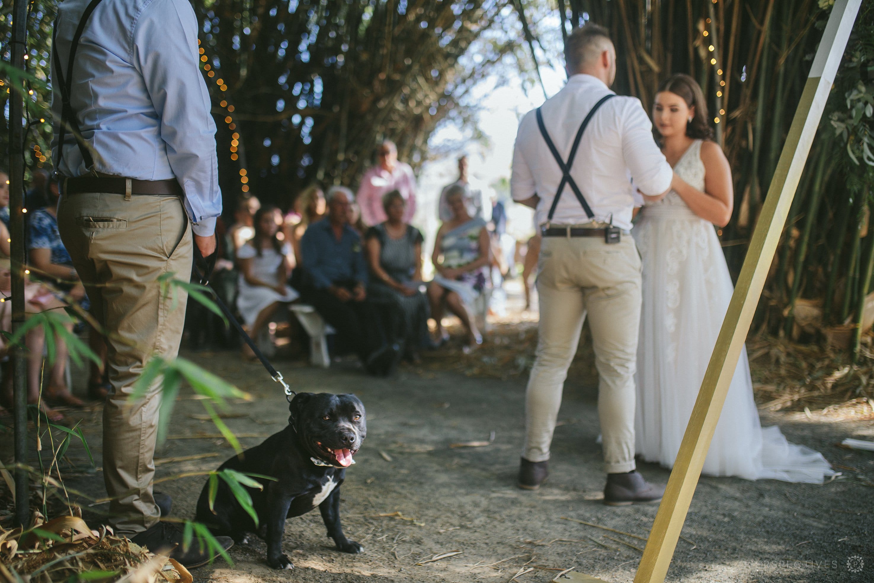 Laloli Cairns wedding photos