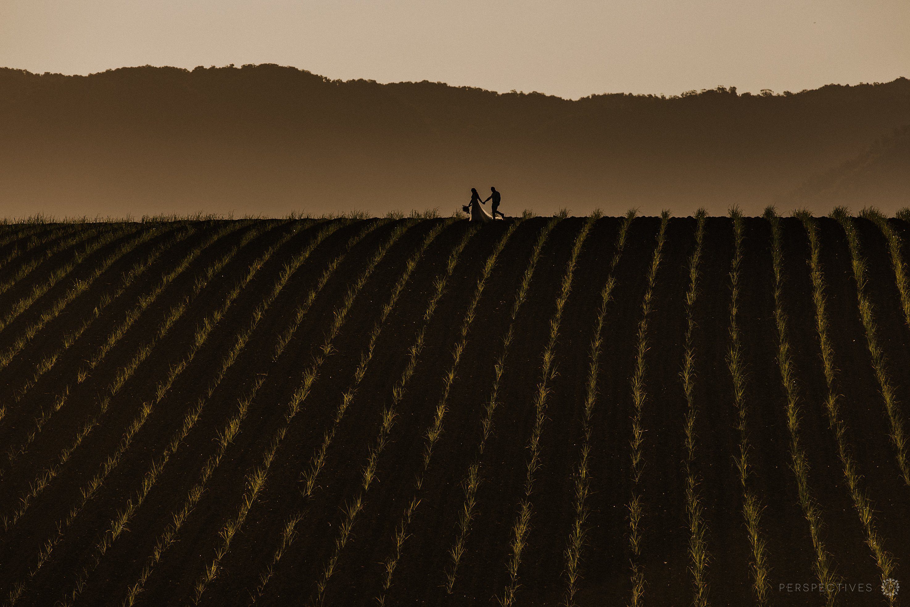 Laloli gardens wedding photos Cairns