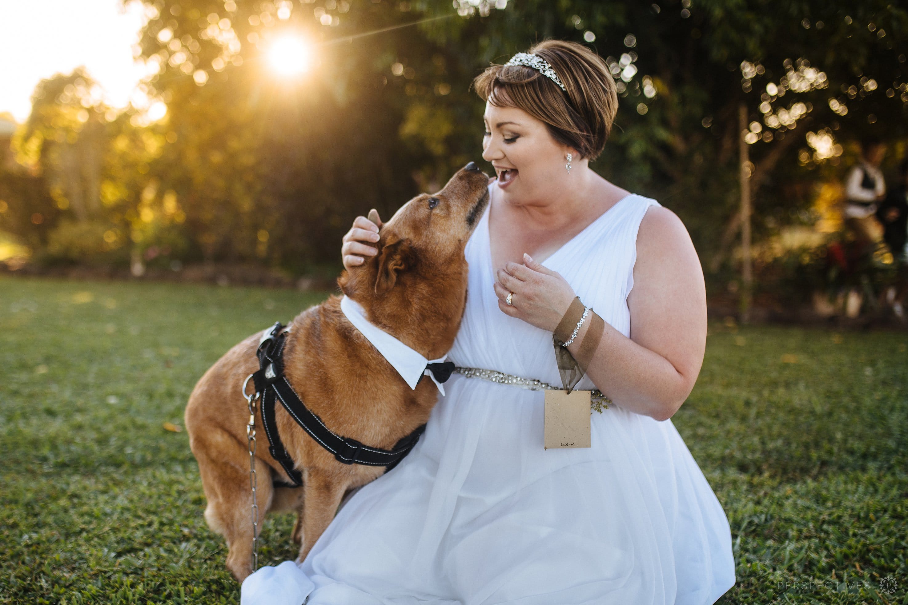 Atherton Tablelands wedding photos