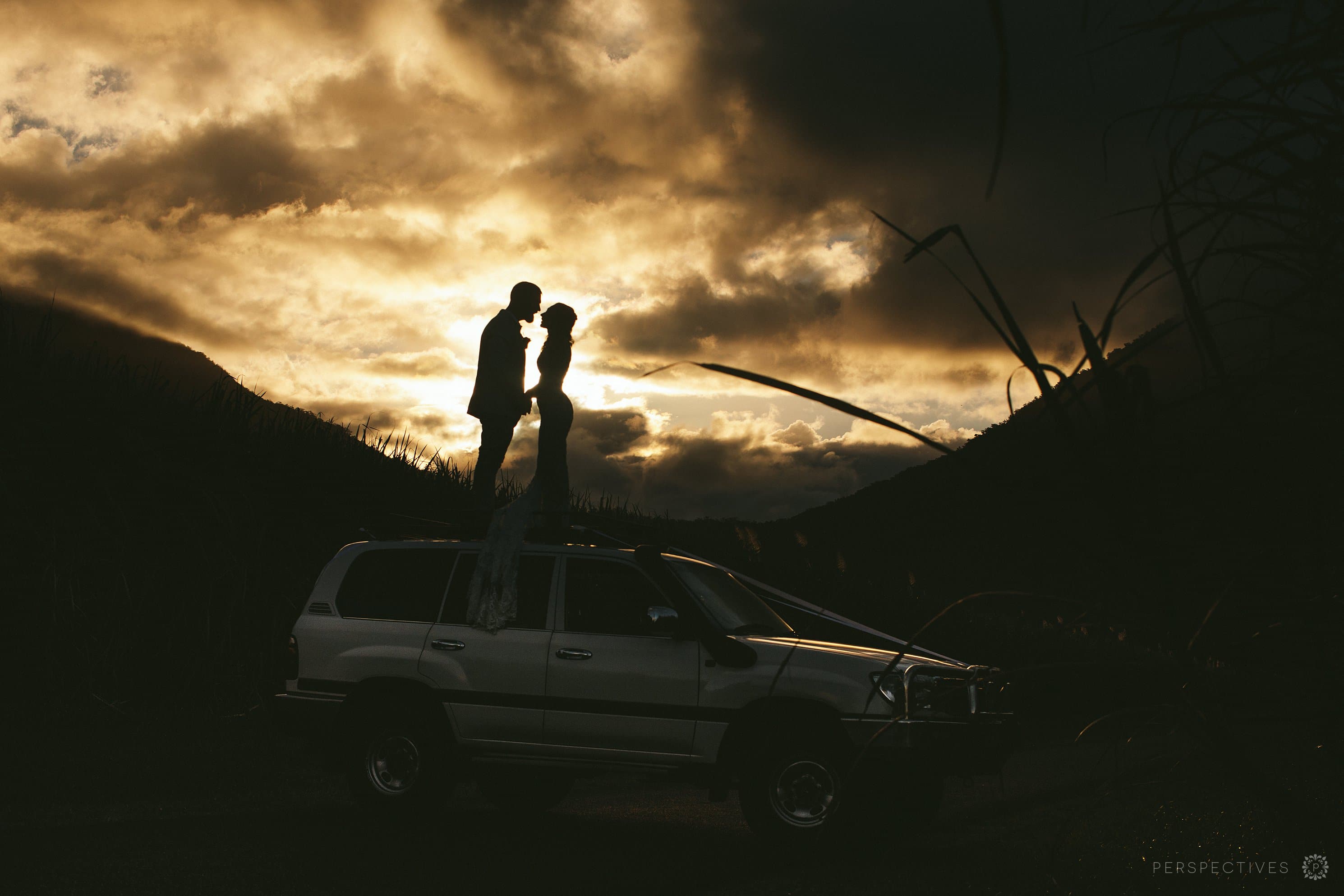 Cairns sugarcane silhouette photos wedding