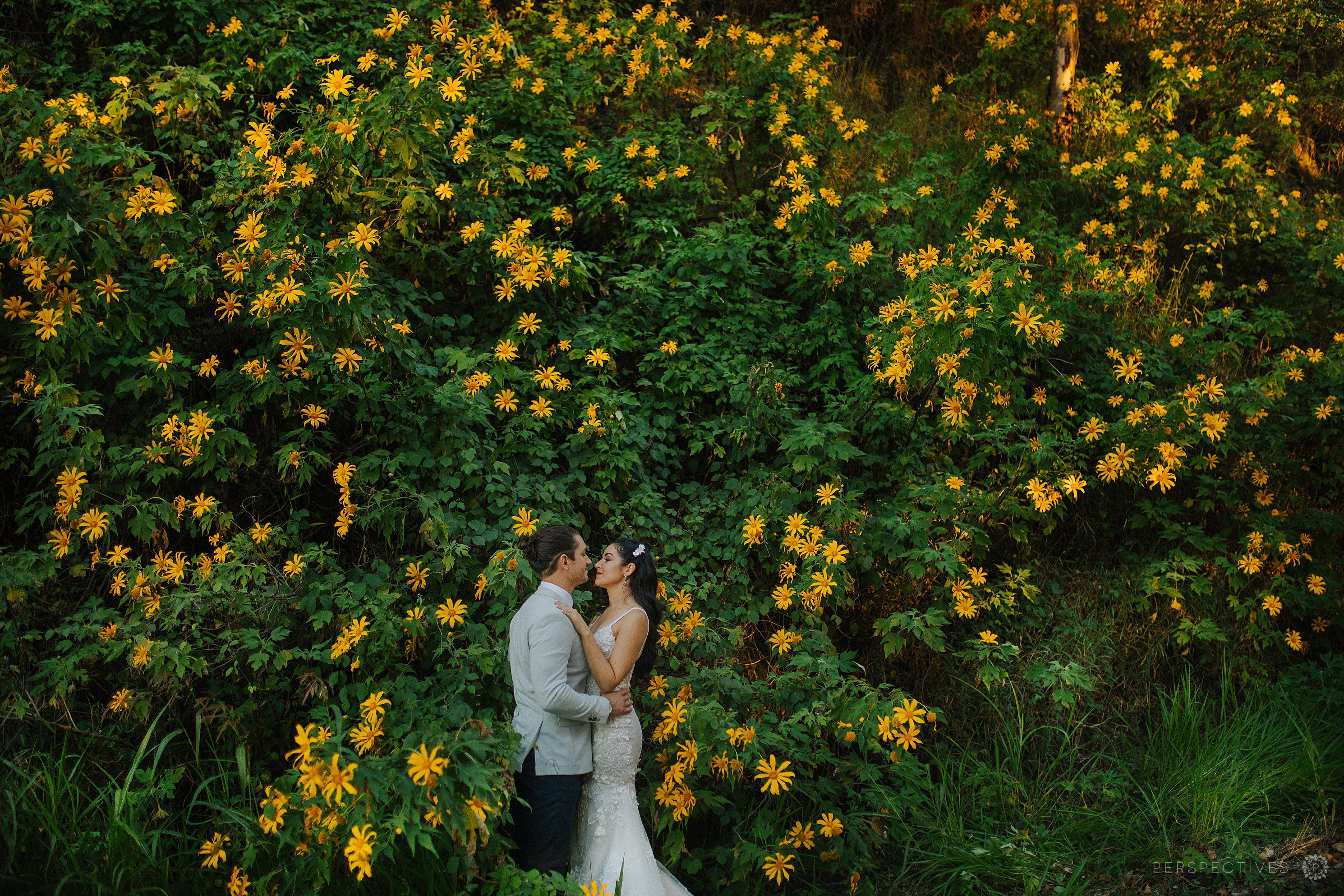 Montville Sunshine Coast wedding photos in yellow flowers