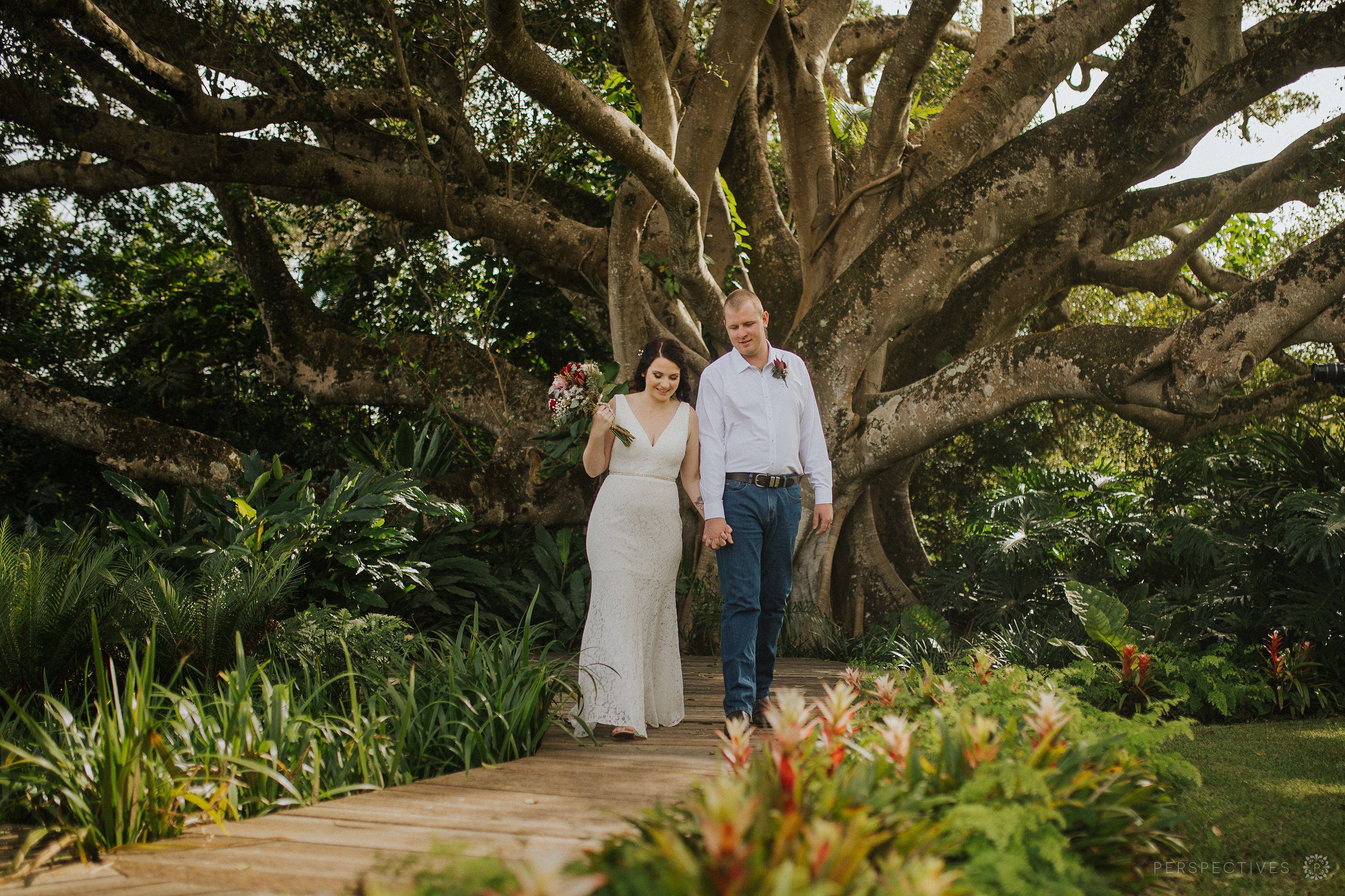 Eumindi Dairy photos Sunshine Coast wedding