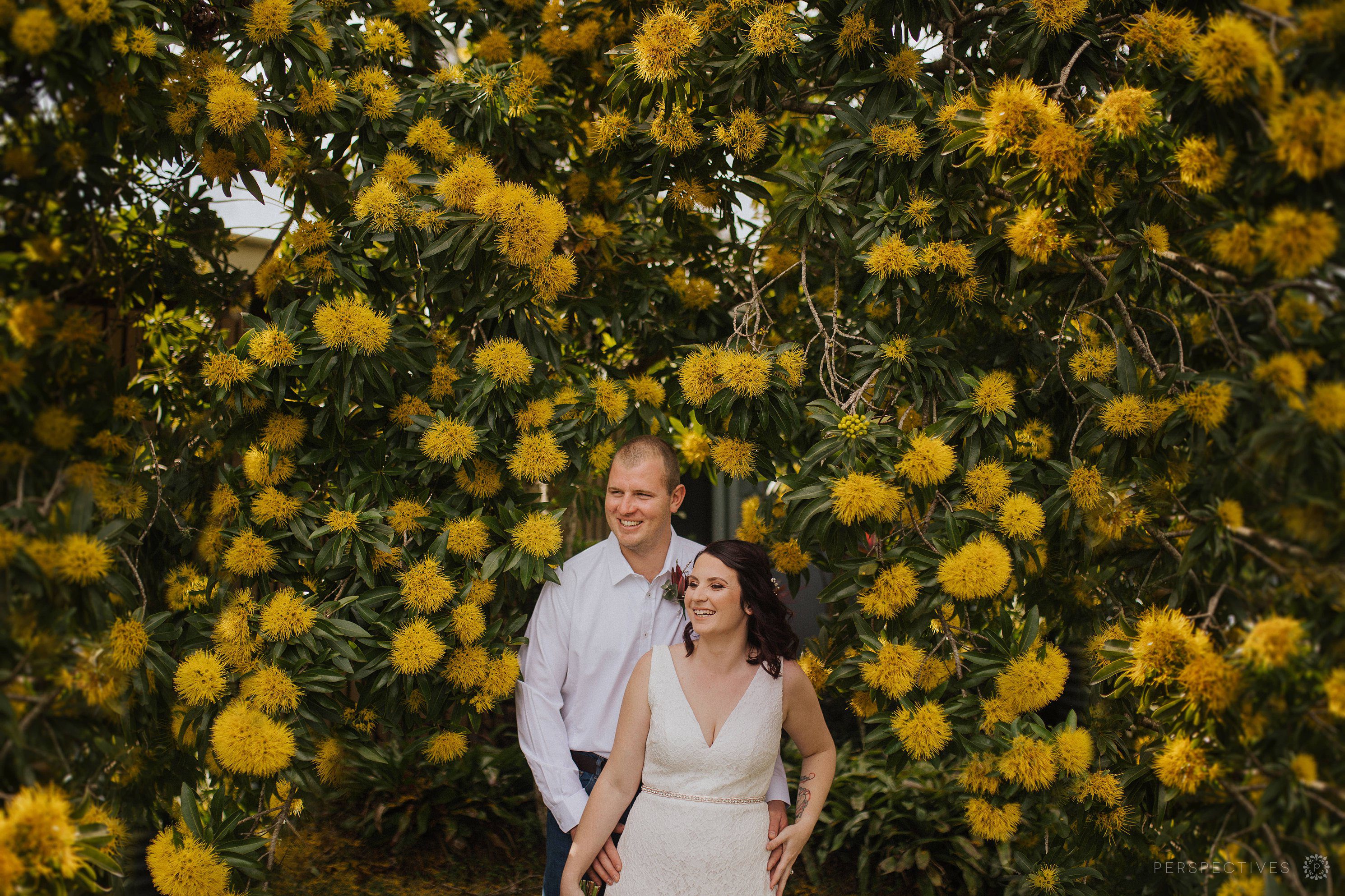 Eumindi Dairy photos Sunshine Coast wedding