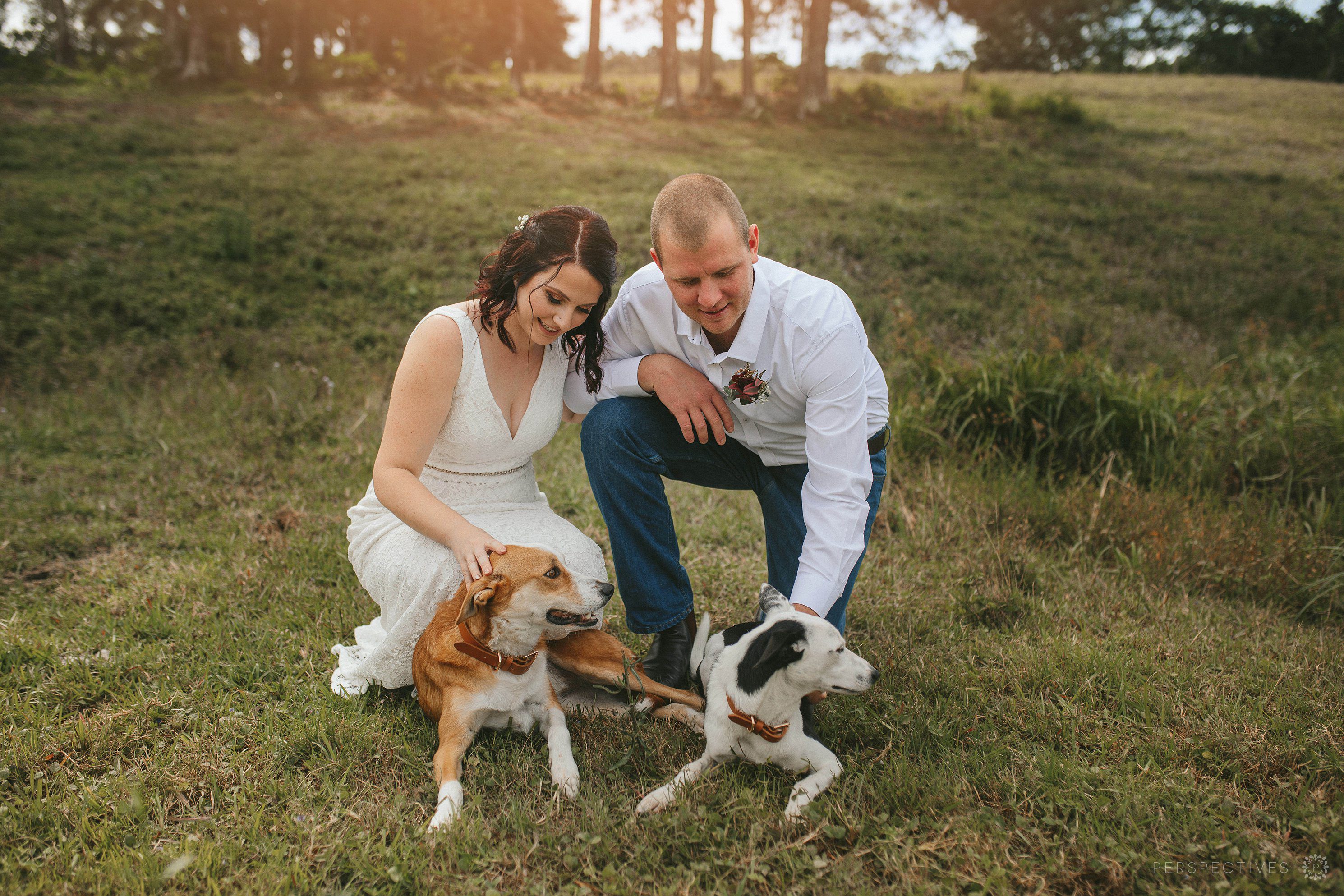 Eumindi Dairy photos Sunshine Coast wedding