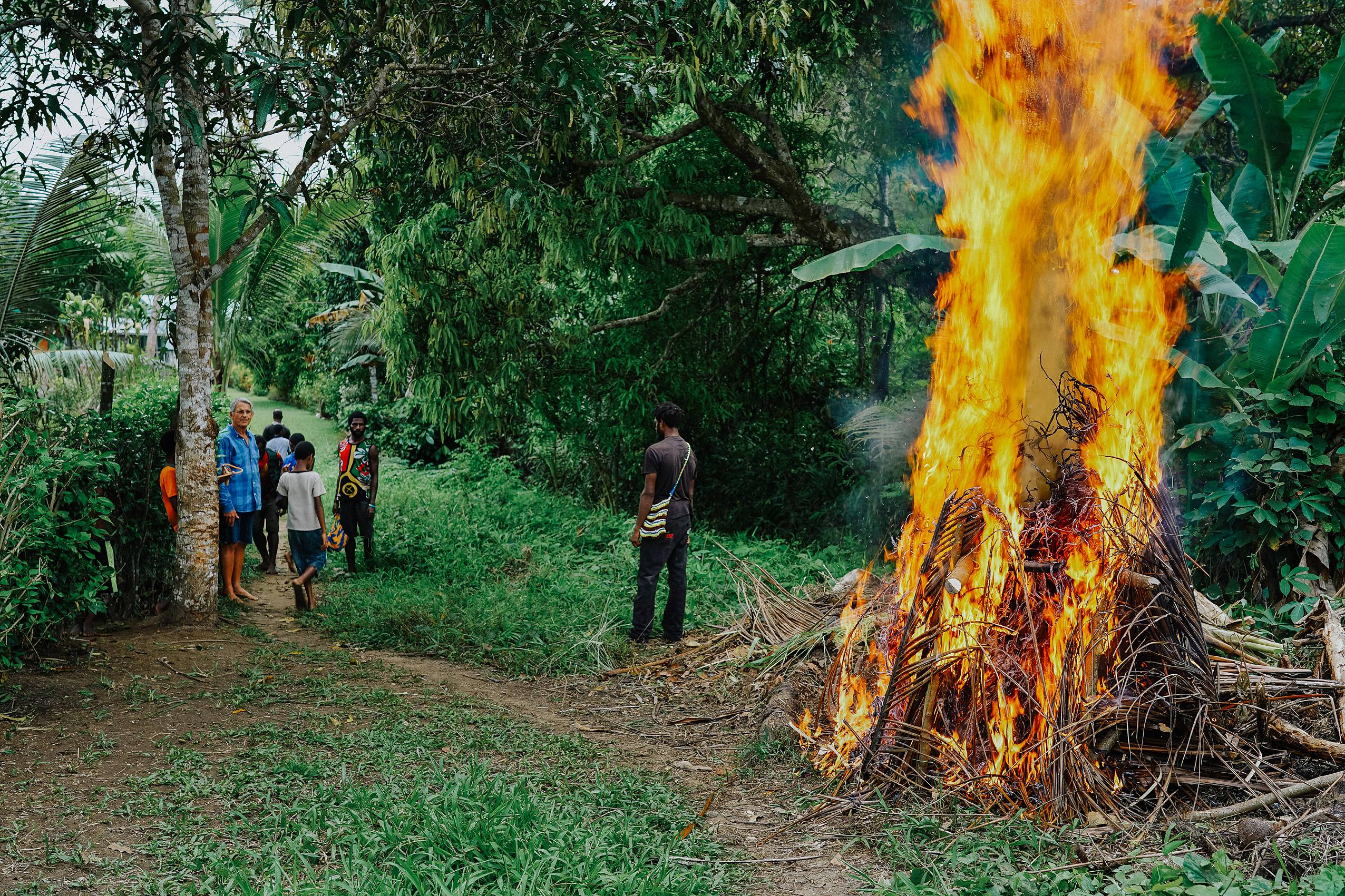 Roasting pig PNG