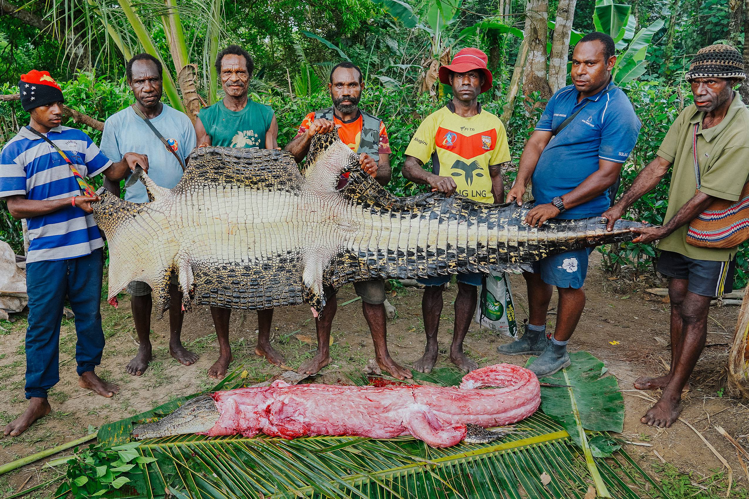 Crocodile butchered Papua New Guinea