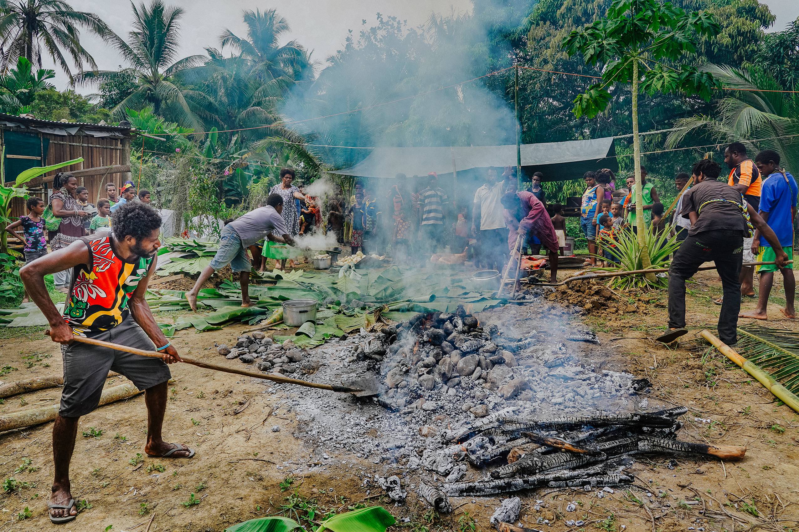 Preparing pig feast Mumu Papua New Guinea
