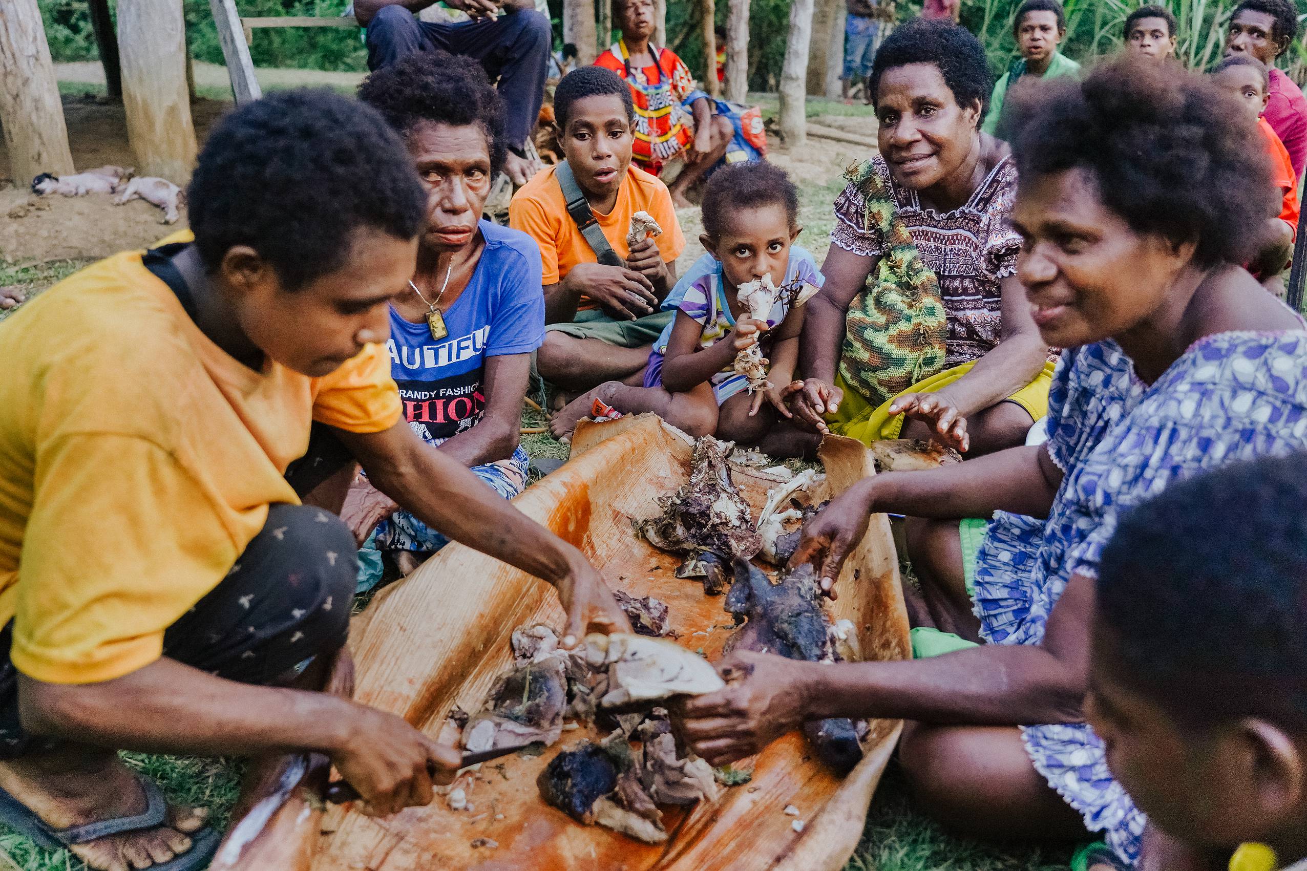 Preparing pig feast Mumu Papua New Guinea