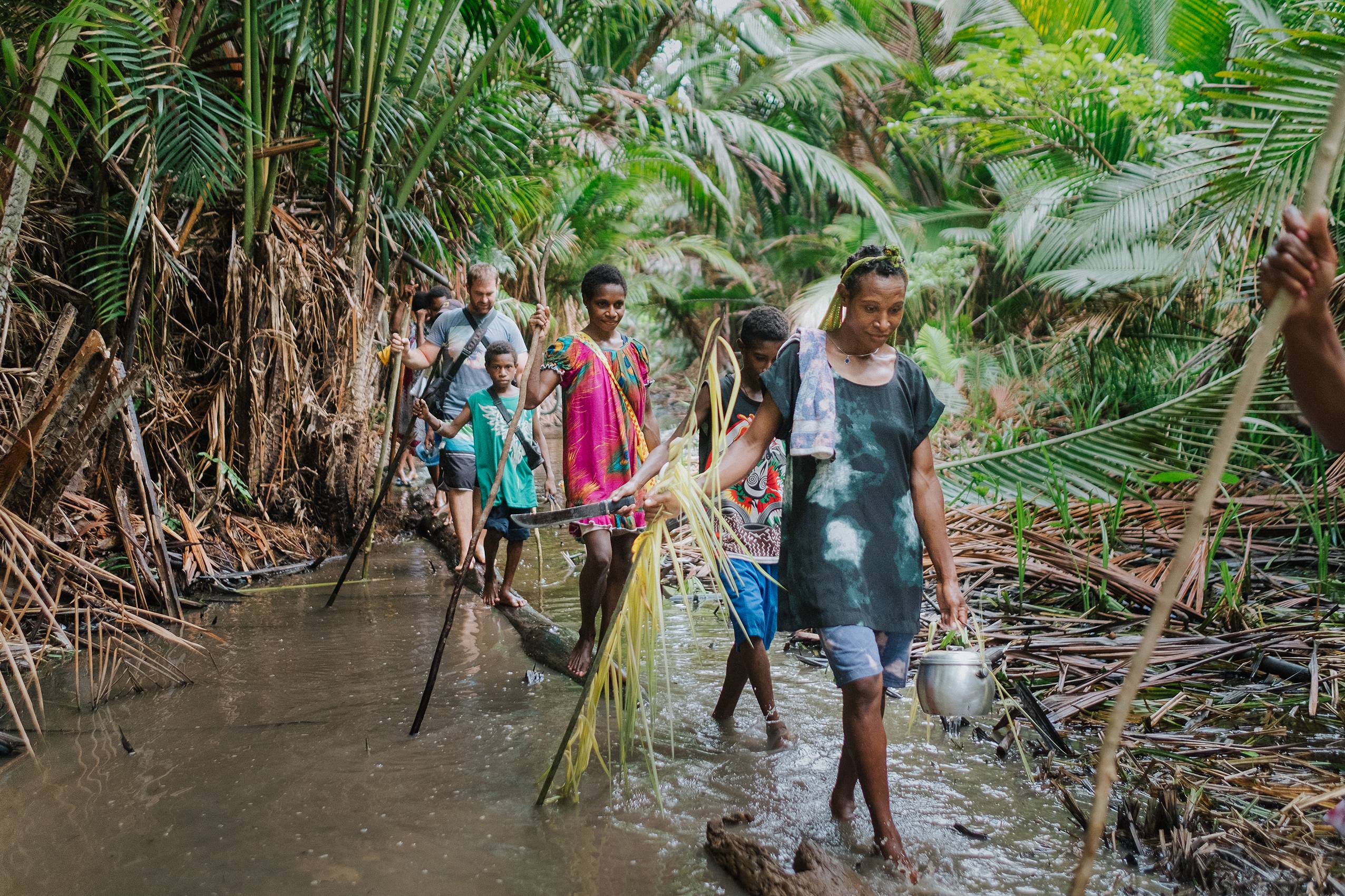 Crossing swamp PNG