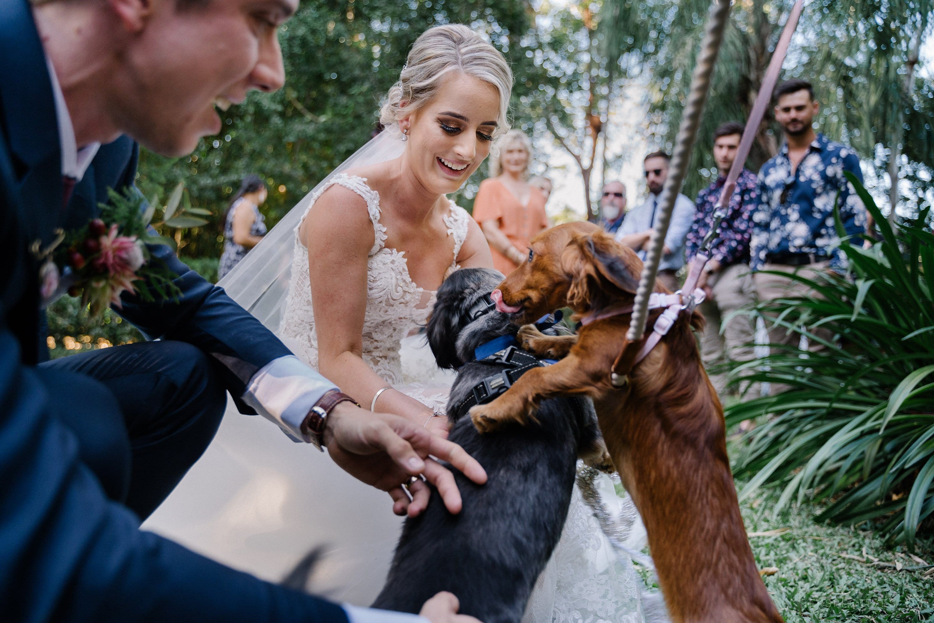 Laloli wedding venue Cairns