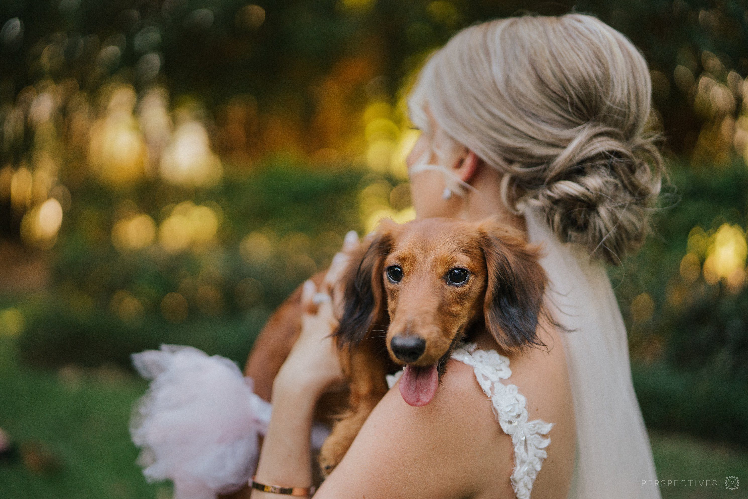 Laloli wedding photos Cairns