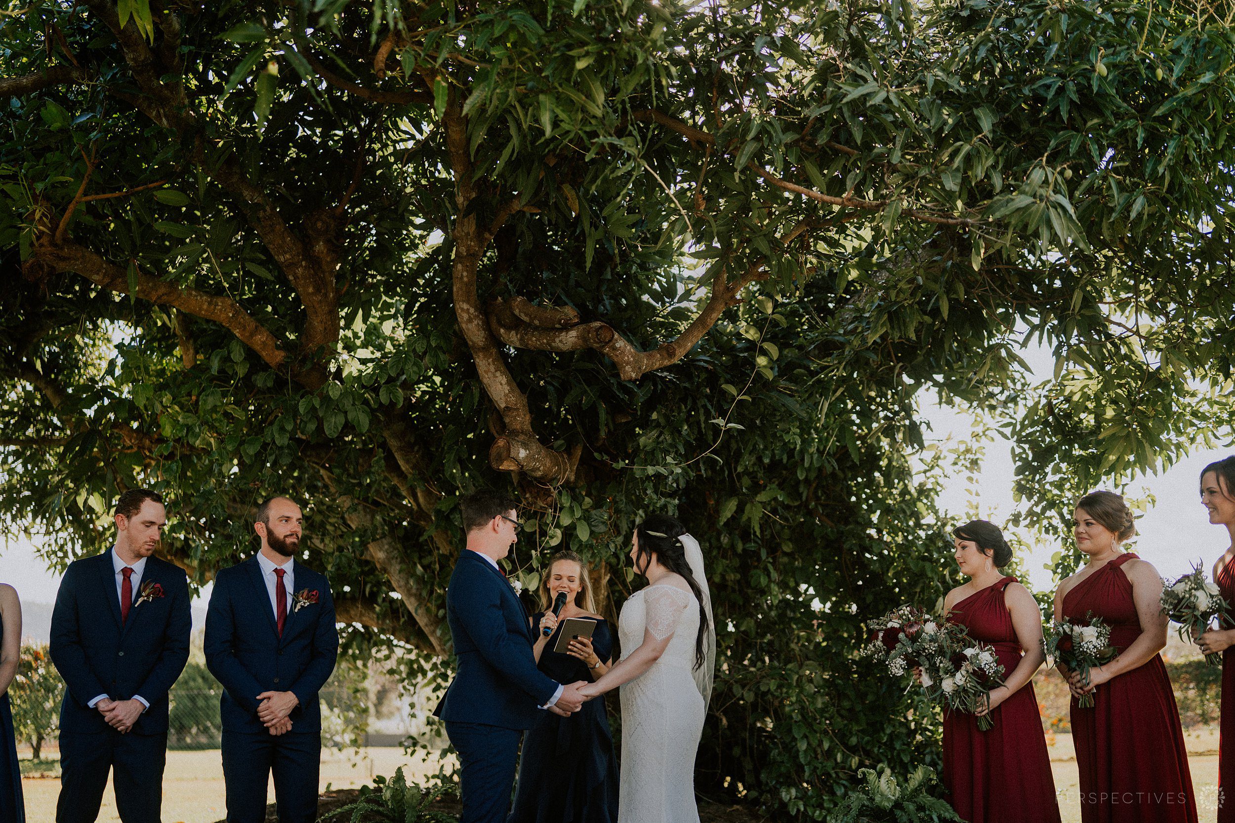Cairns backyard wedding