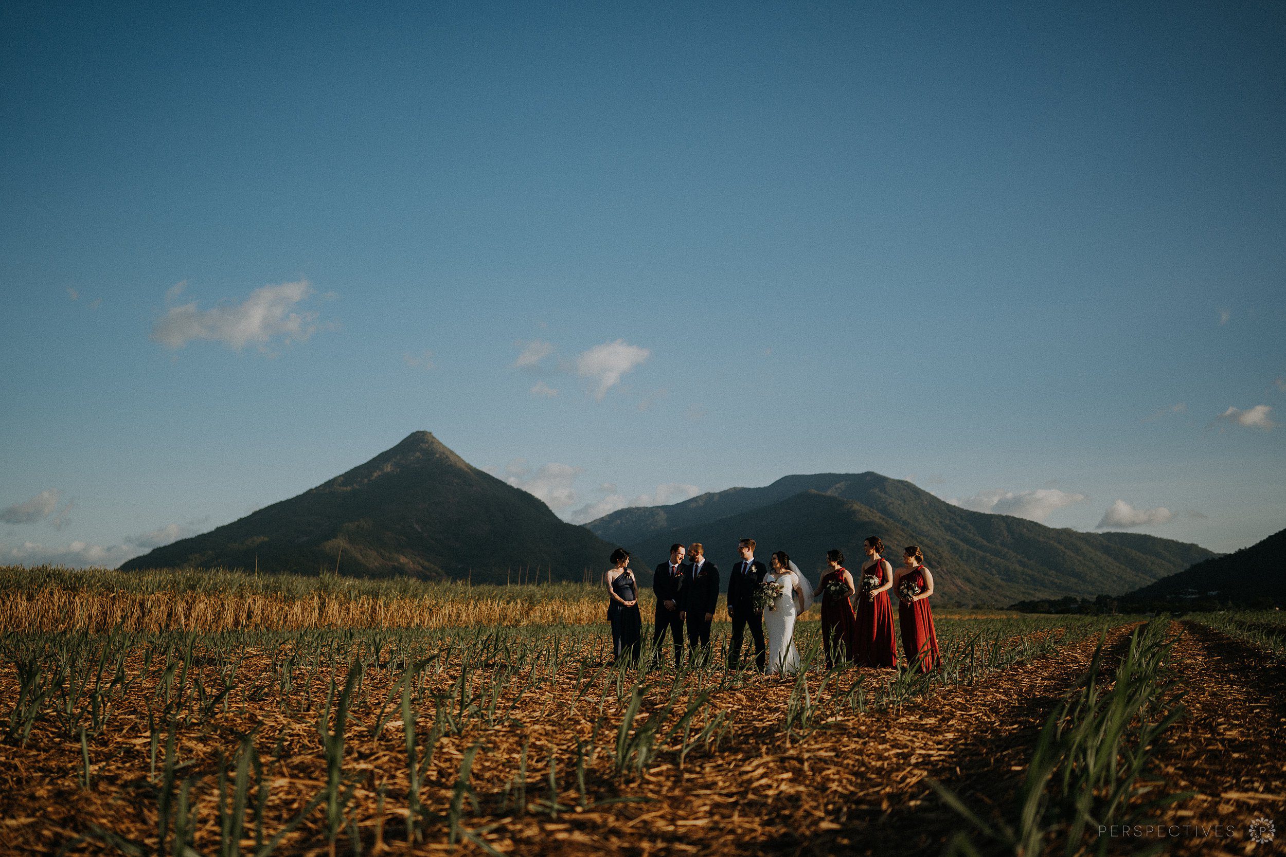 Sugar cane wedding photos Cairns