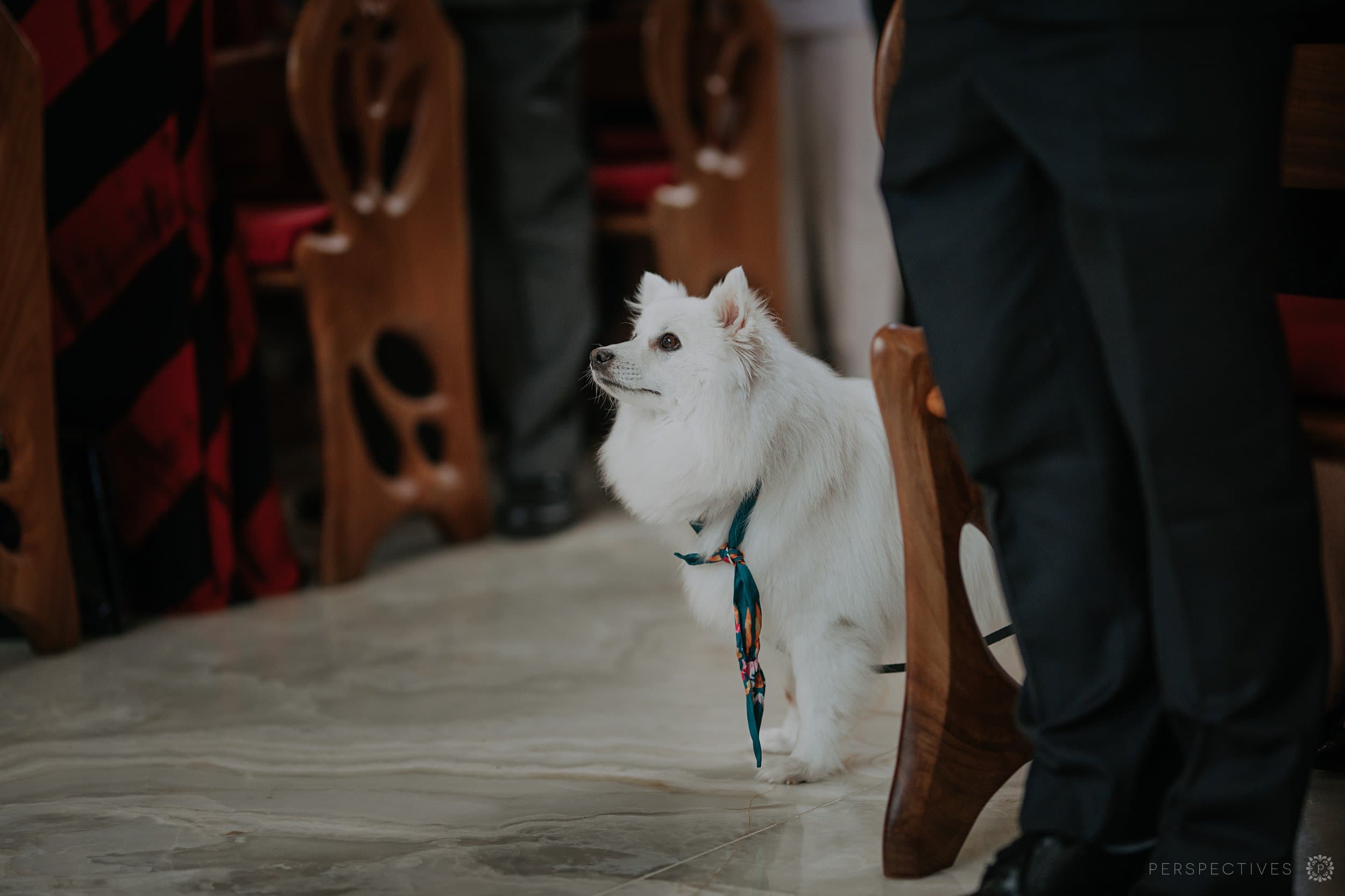 Sunshine Coast wedding photographers