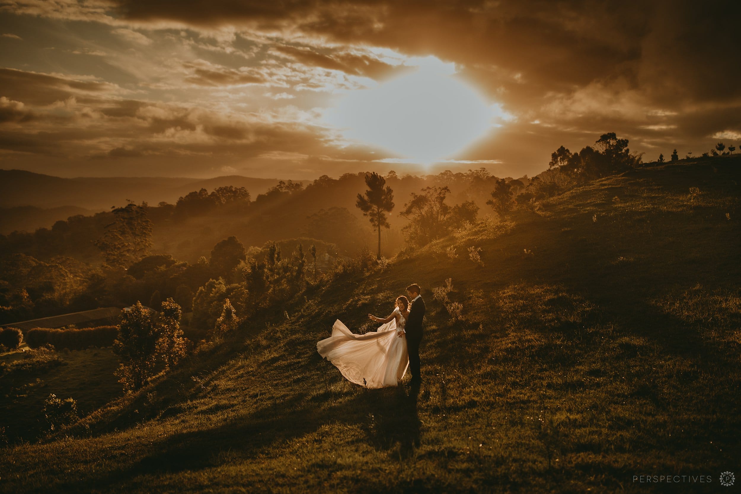 One Tree Hill Maleny wedding photos
