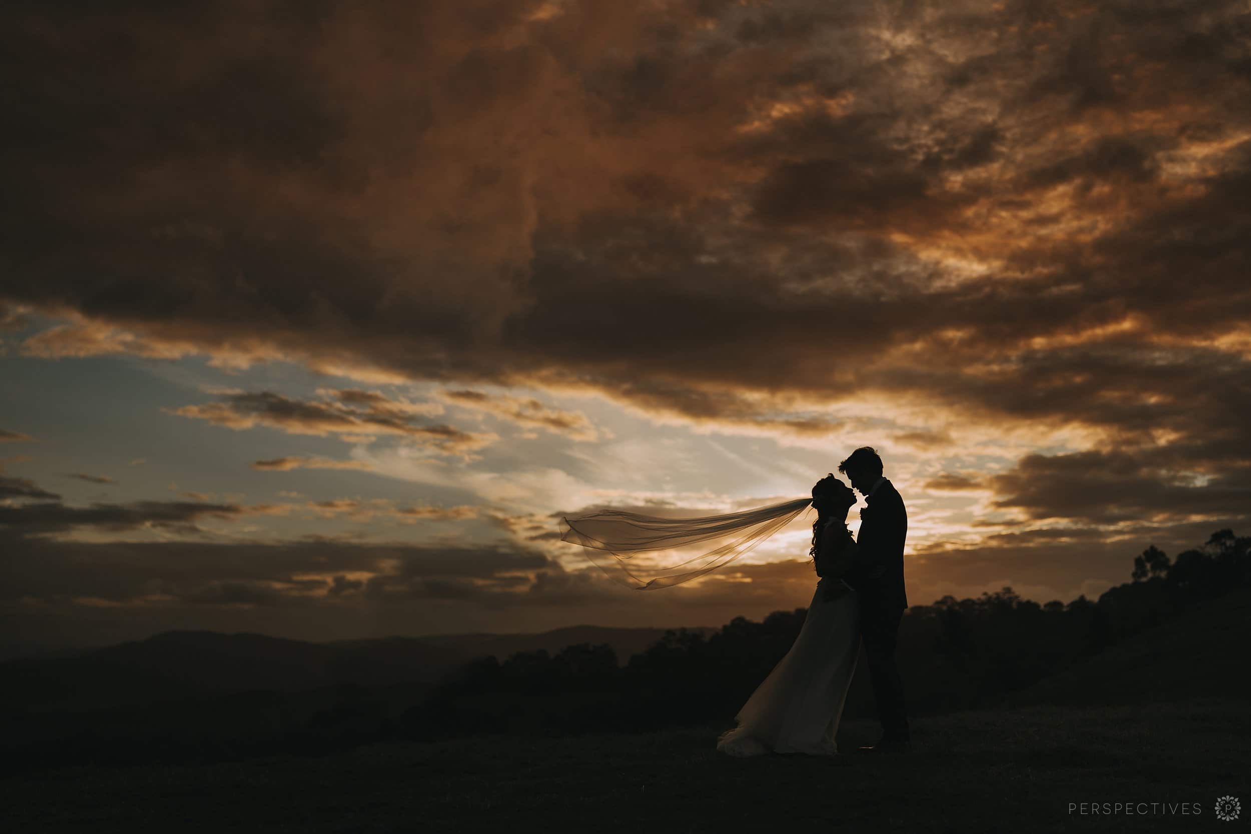 One Tree Hill Maleny wedding photos