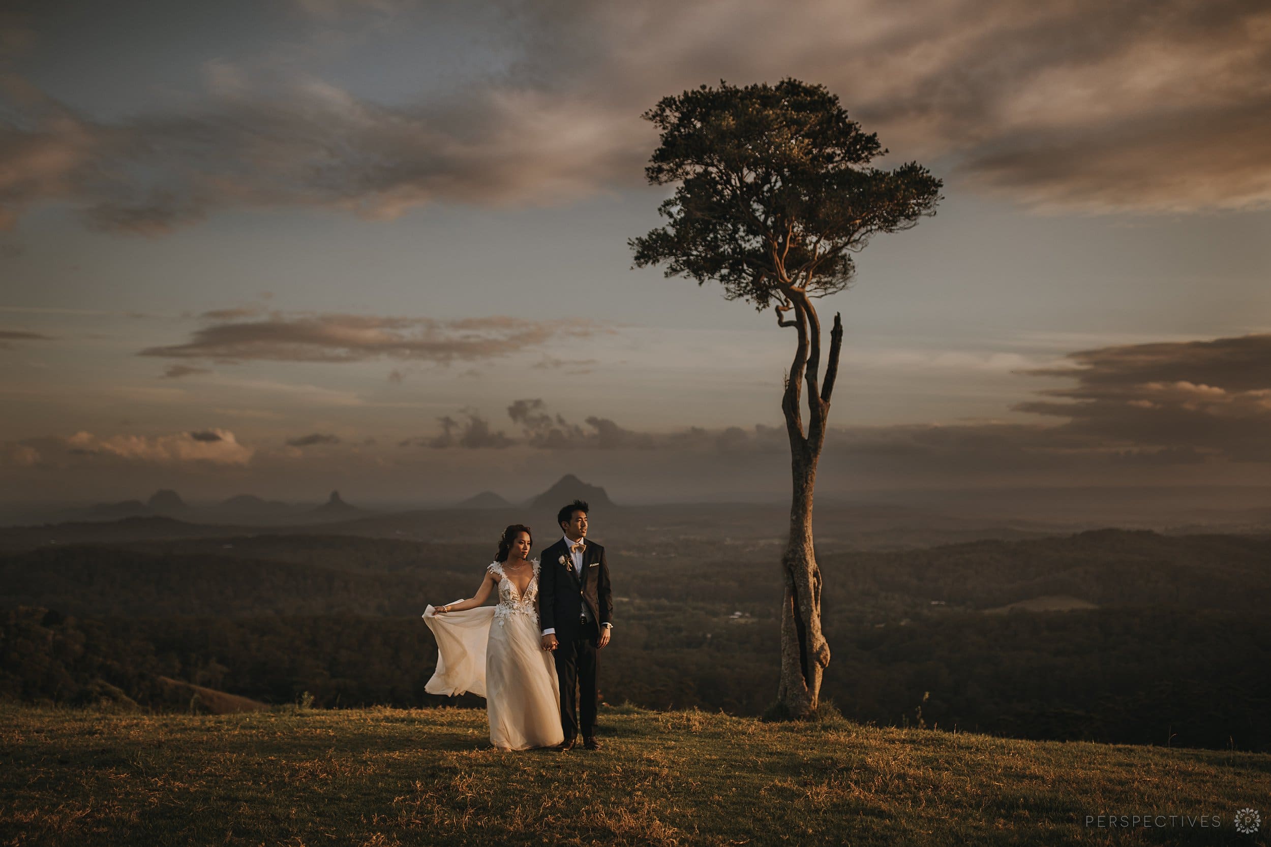 One Tree Hill Maleny wedding photos