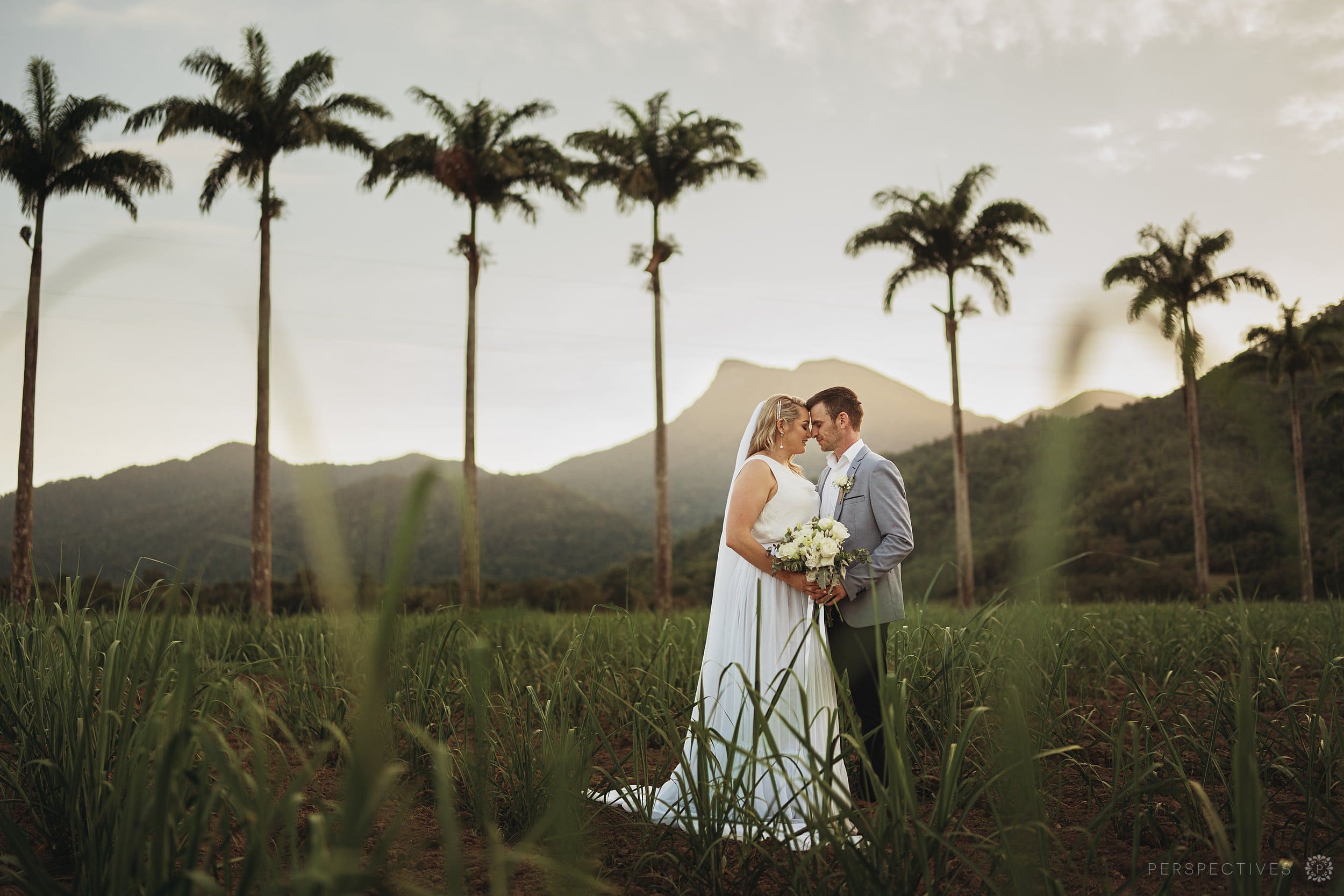Rainforest Estate Finlayvale wedding