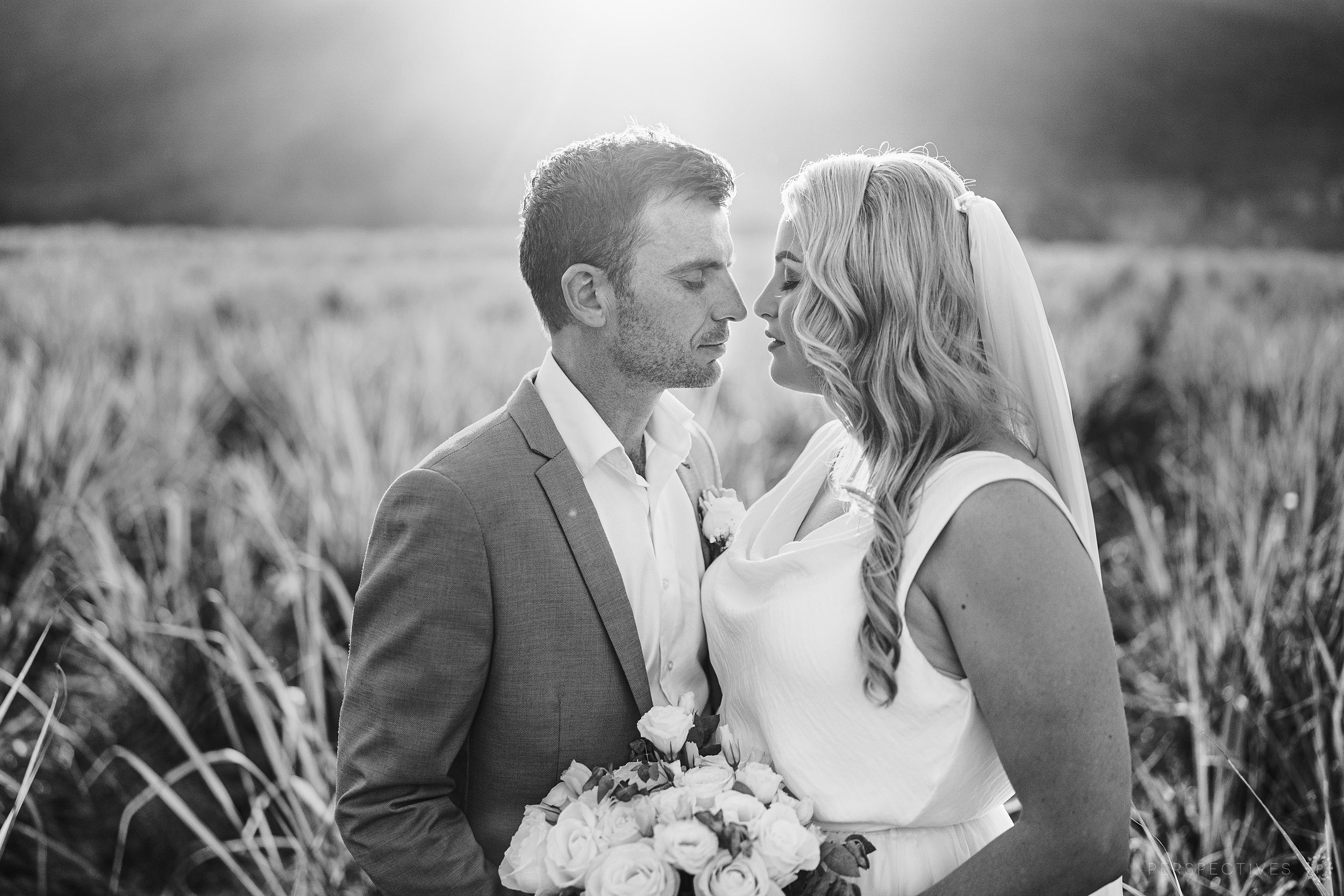 Rainforest Estate Finlayvale wedding