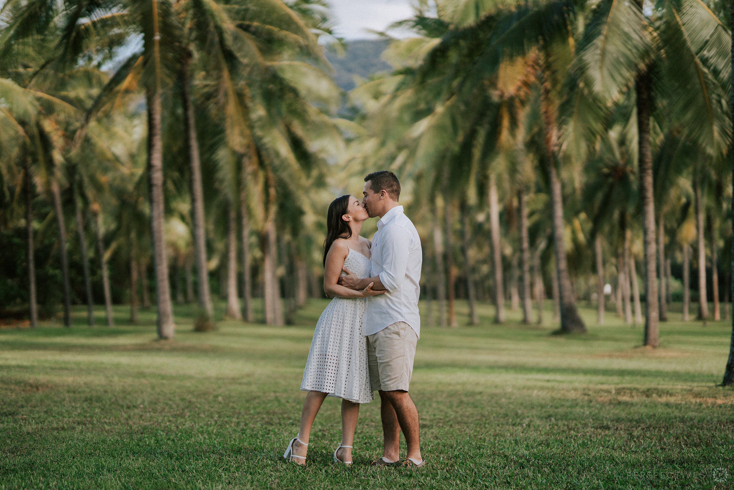 Palm trees at Thala beach lodge