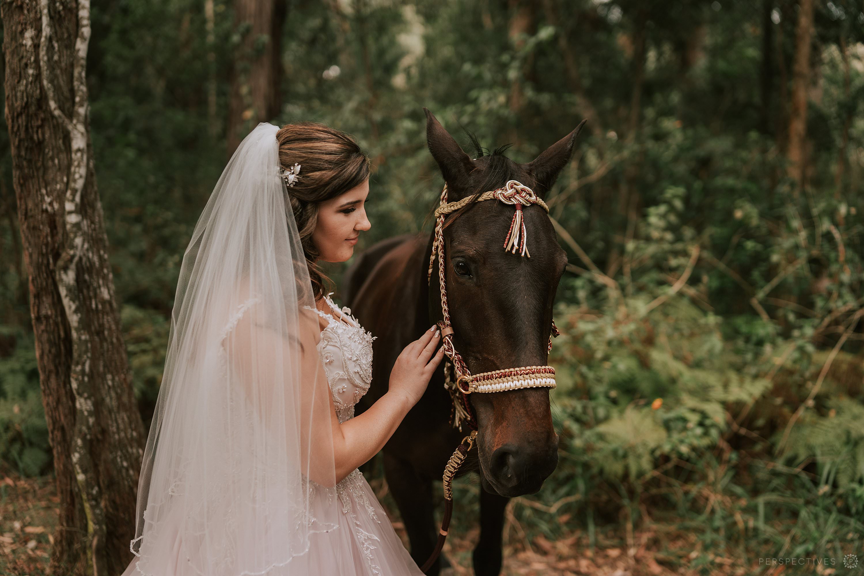 Wedding photos bride with horse