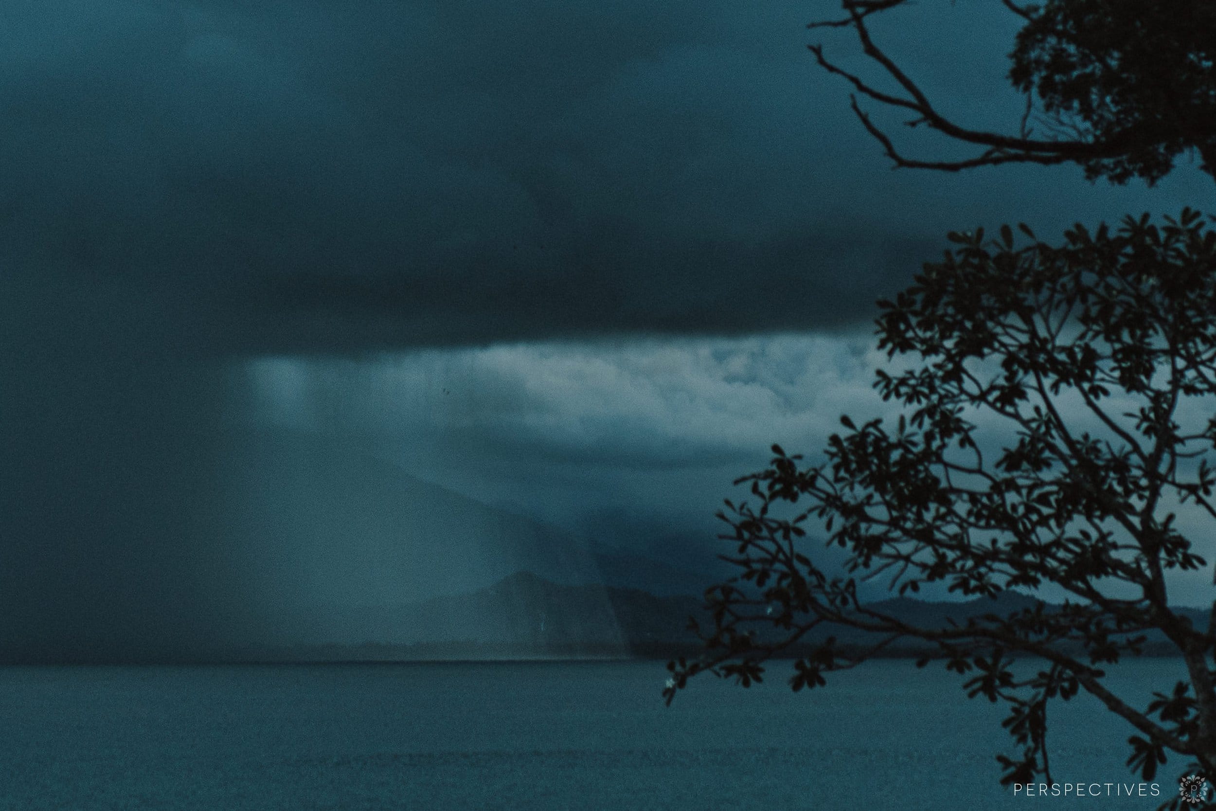 Tin Shed Port Douglas wedding reception