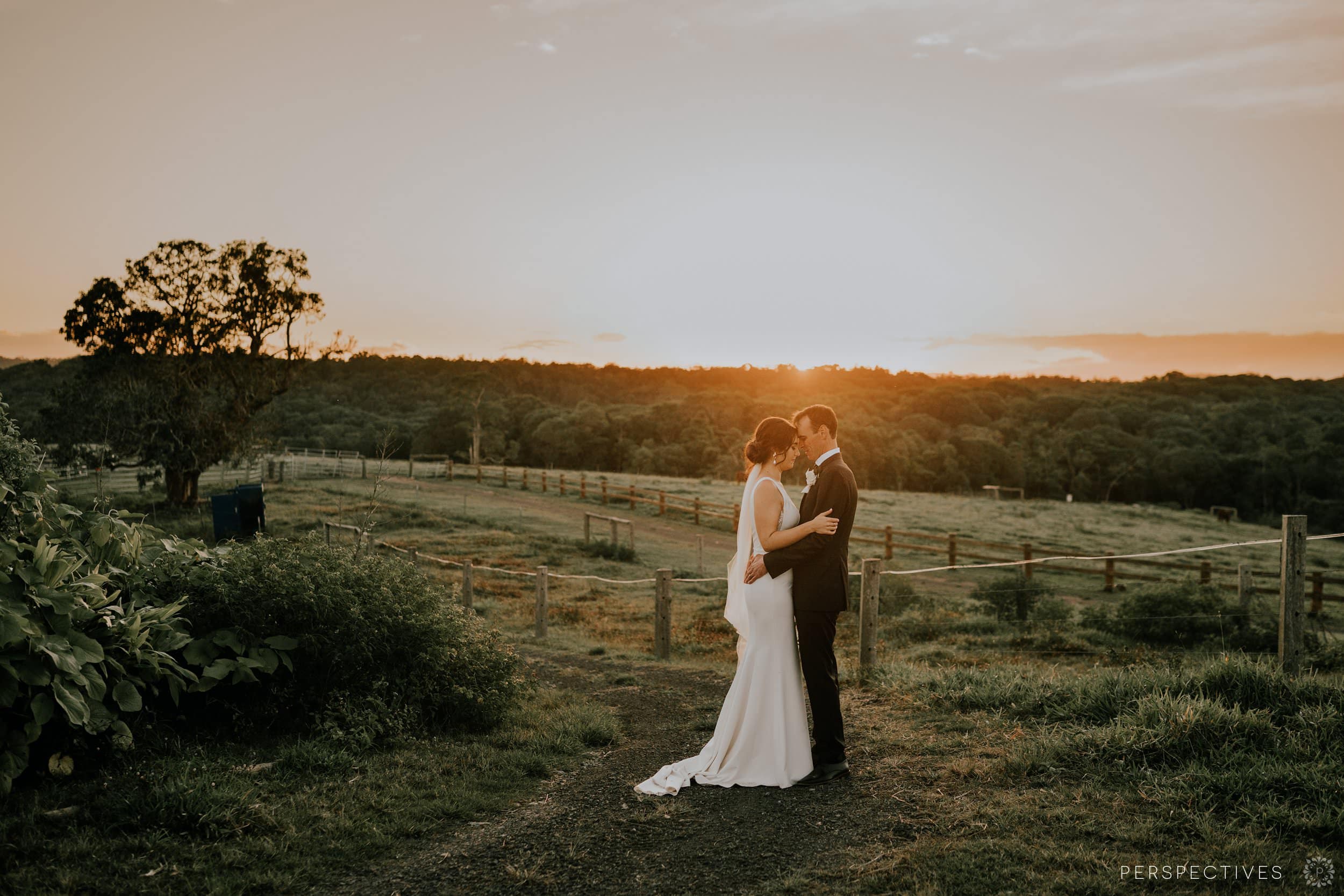 Kur Cow Barnwell Kuranda Wedding photographer