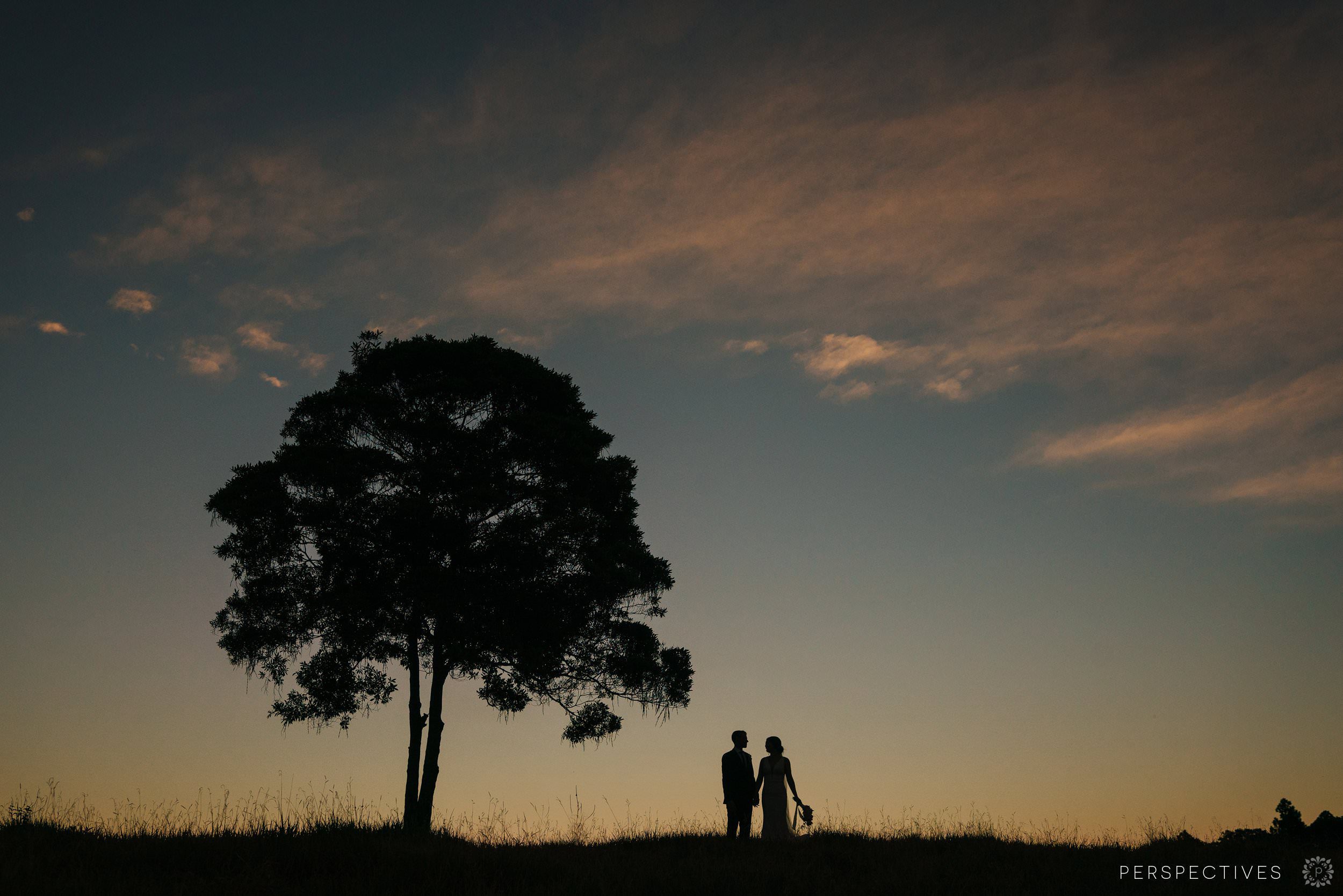 Kur Cow Barnwell Kuranda Wedding photographer