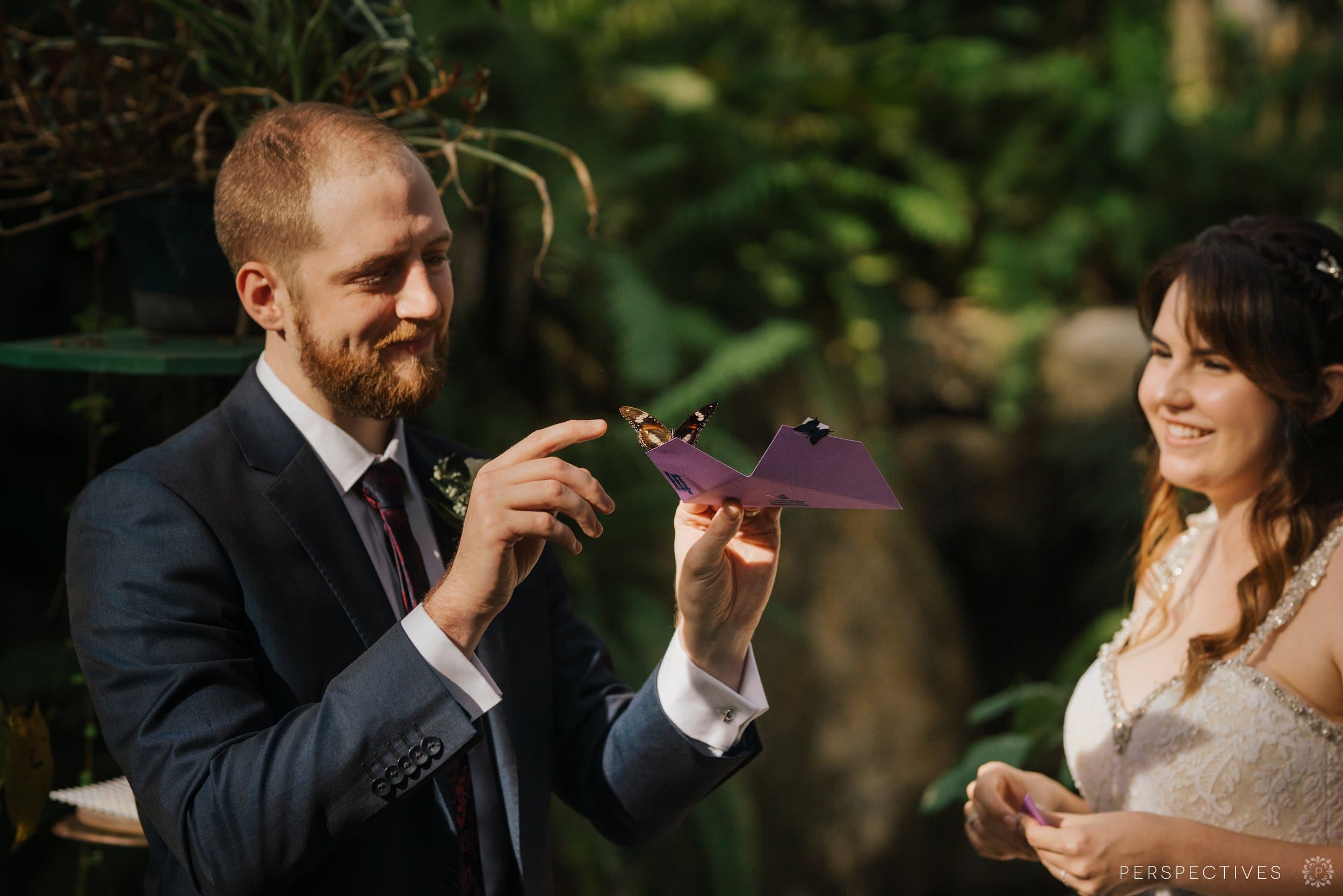 Kuranda Butterfly Sanctuary wedding