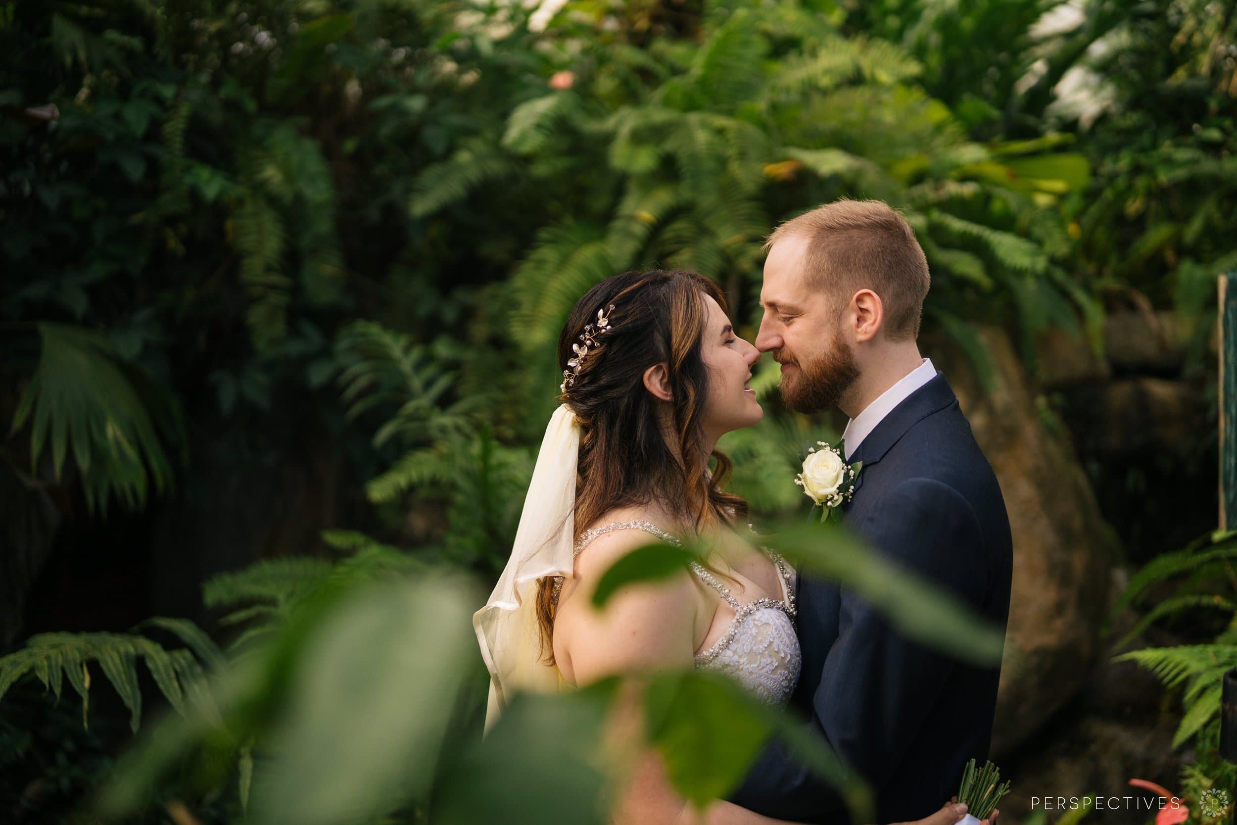 Kuranda Butterfly Sanctuary wedding