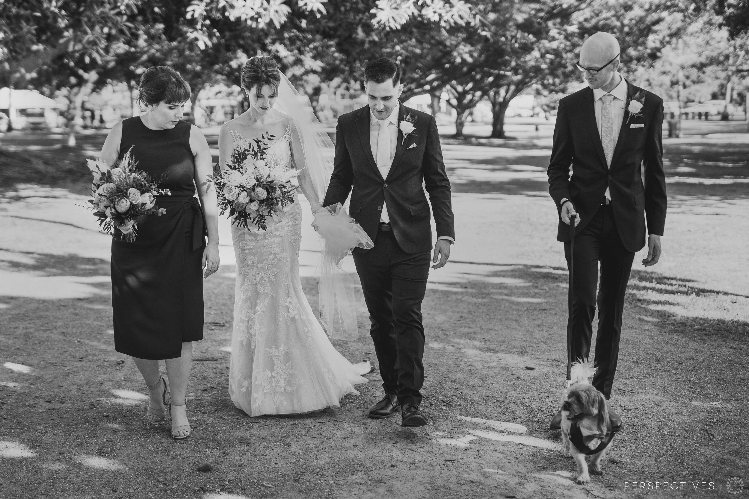 Rex Smeal Park Port Douglas wedding photos