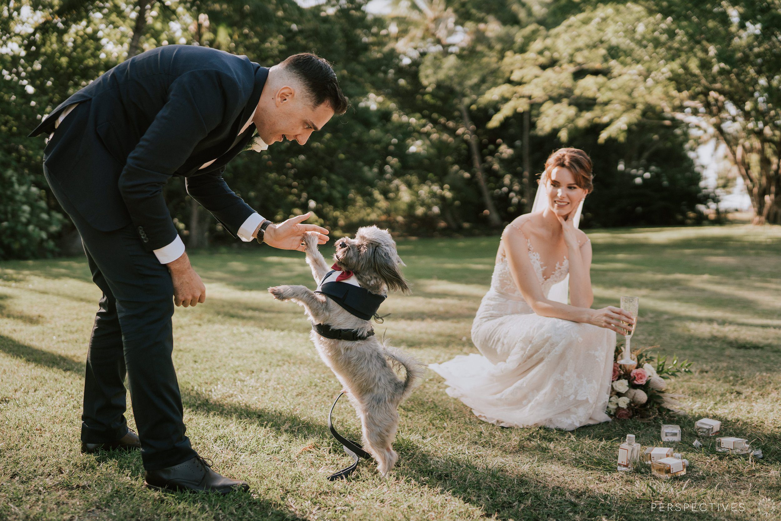 Rex Smeal Park Port Douglas wedding photos
