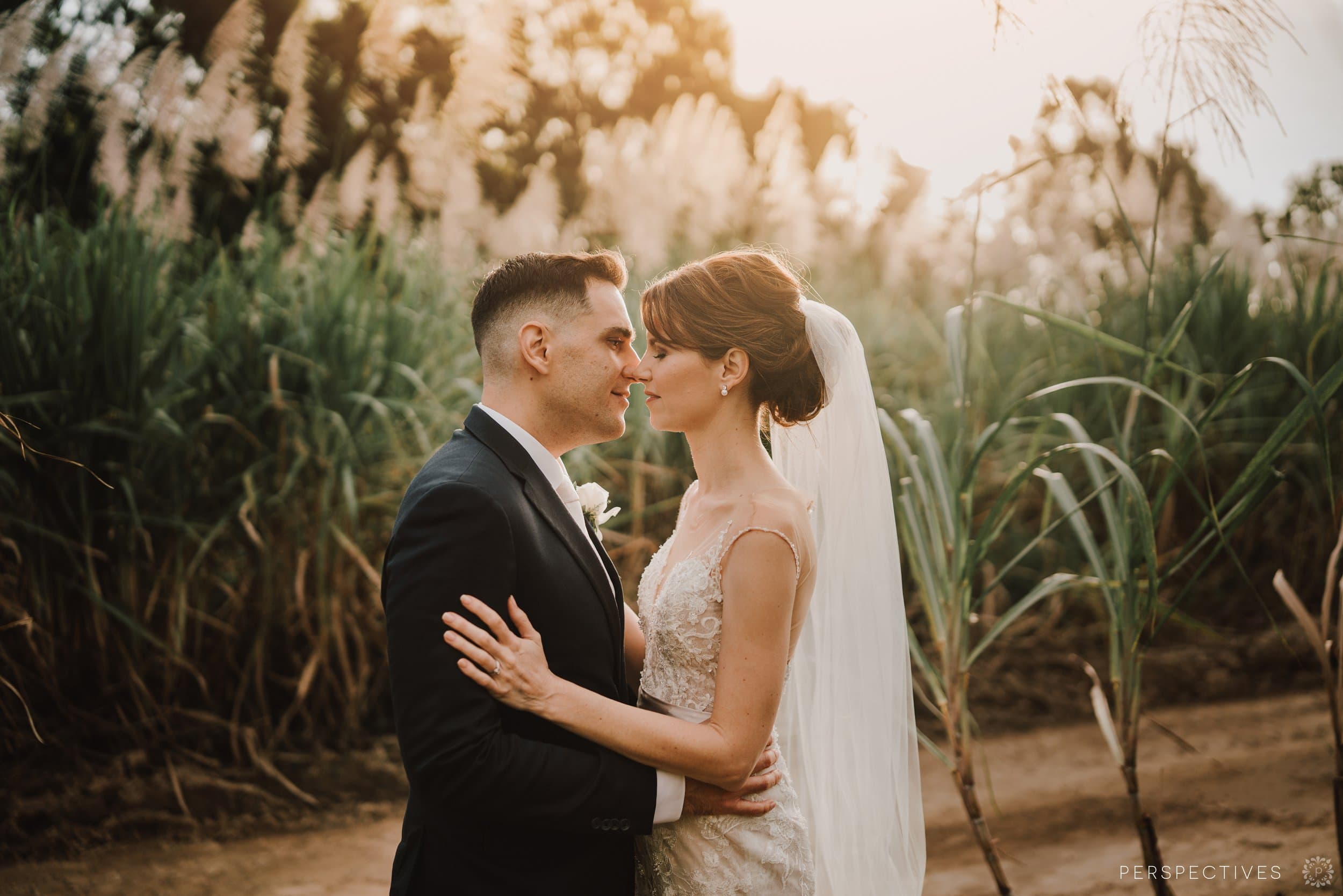 Port Douglas Sugar Cane wedding photos