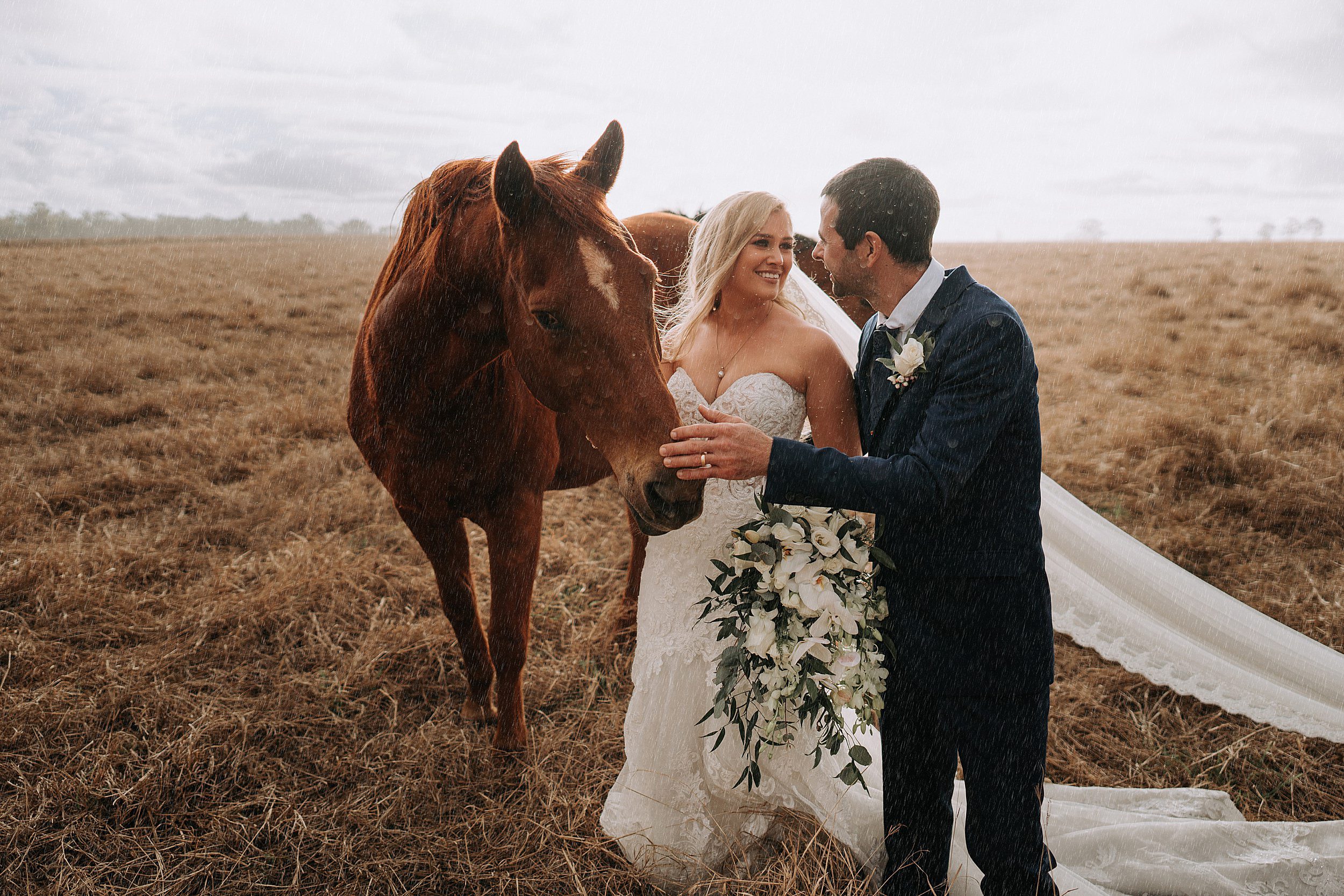 Kaban Heights by the Pines wedding photos with horses