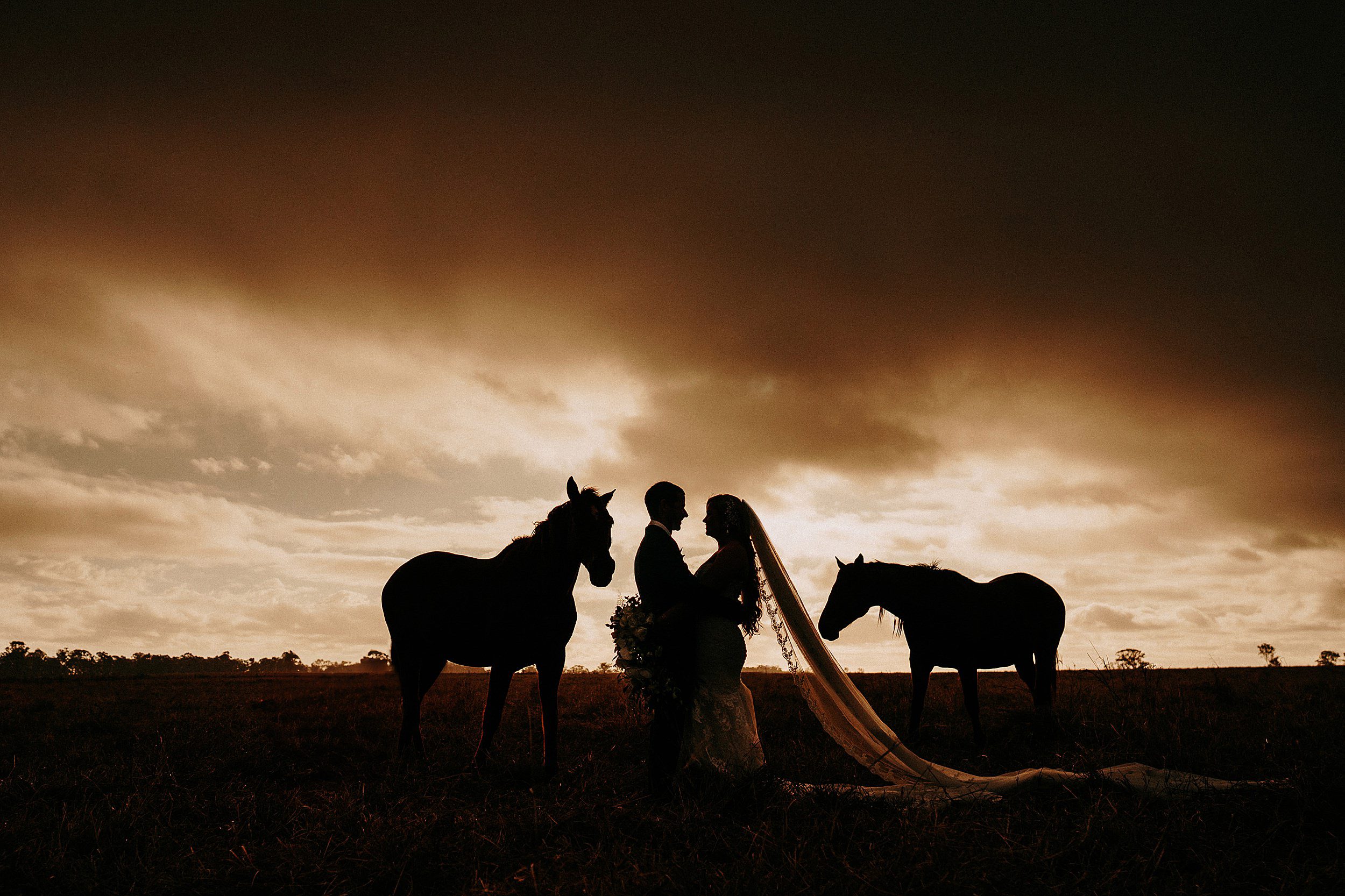 Kaban Heights by the Pines wedding photos with horses
