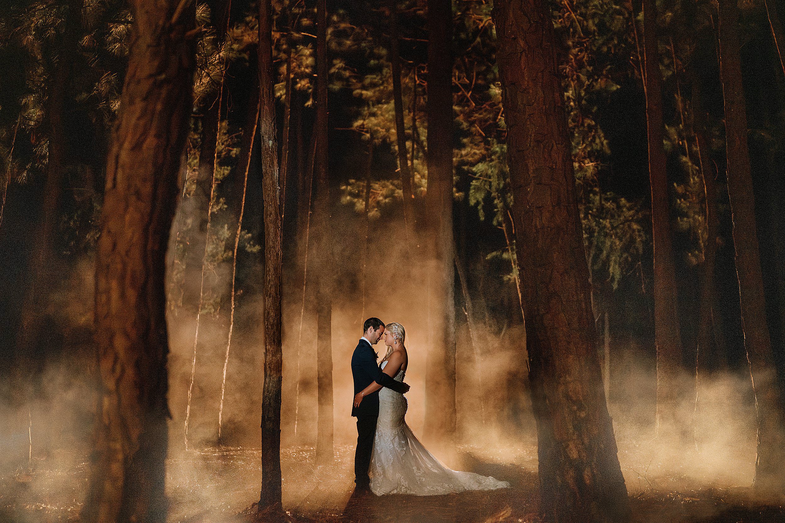 Kaban Heights Pine tree wedding photo at night