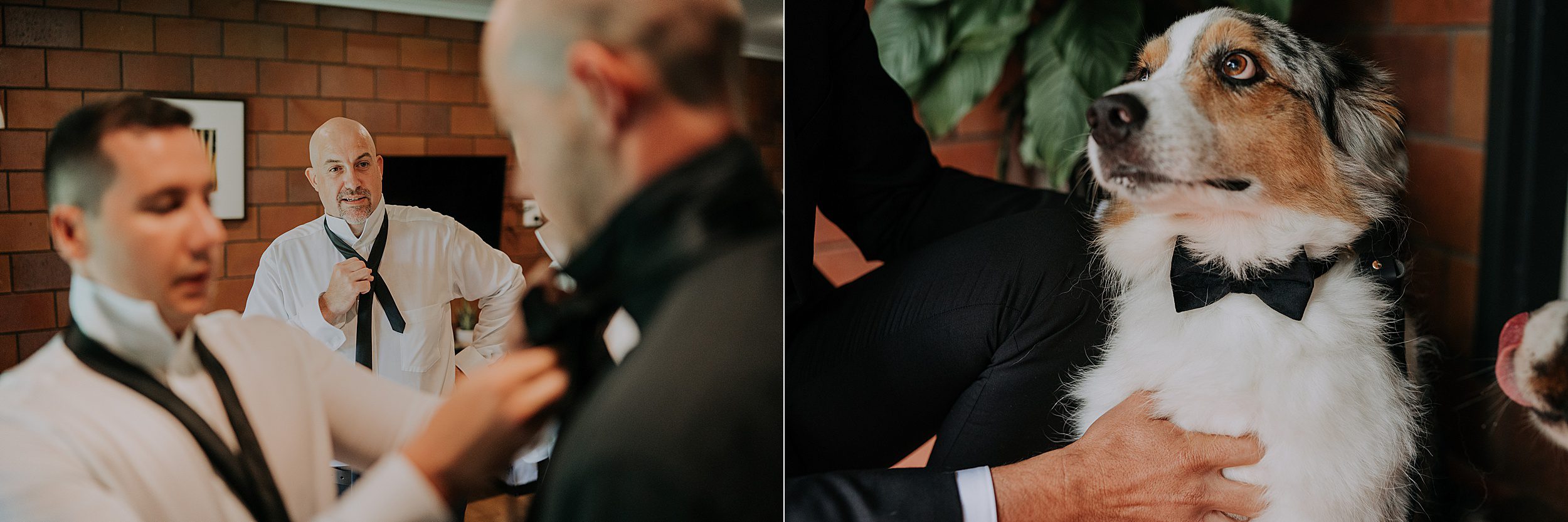 Malanda Lodge wedding