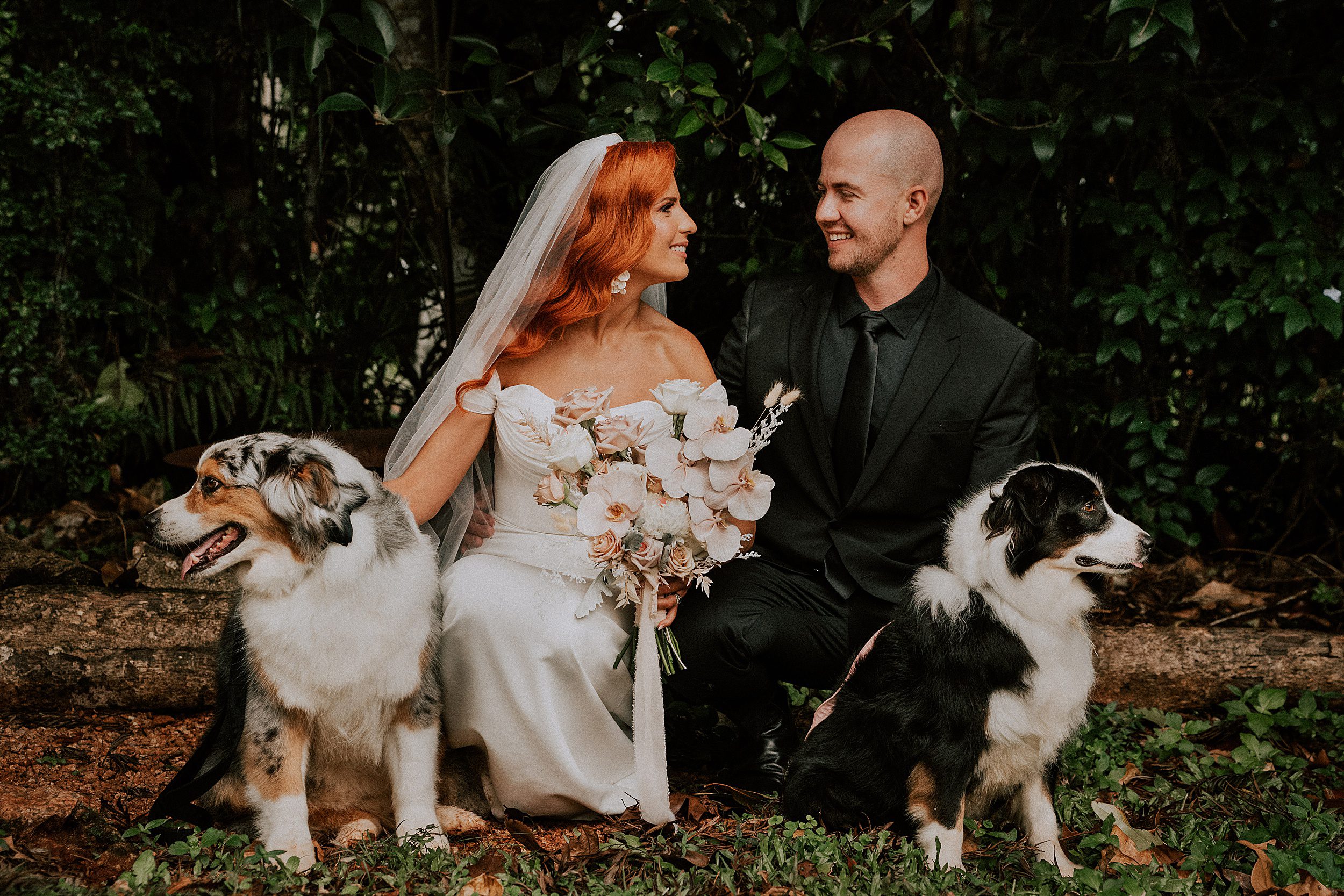 wedding photos with dogs at Malanda Lodge
