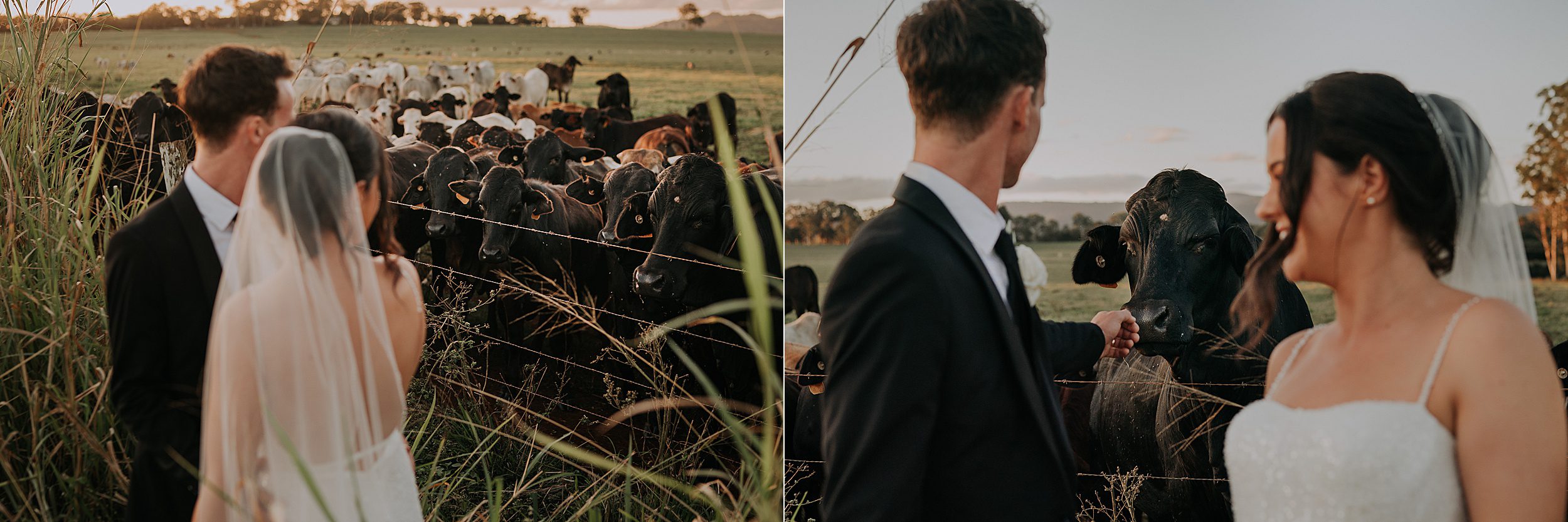 Tinaroo Lake Resort wedding location photos