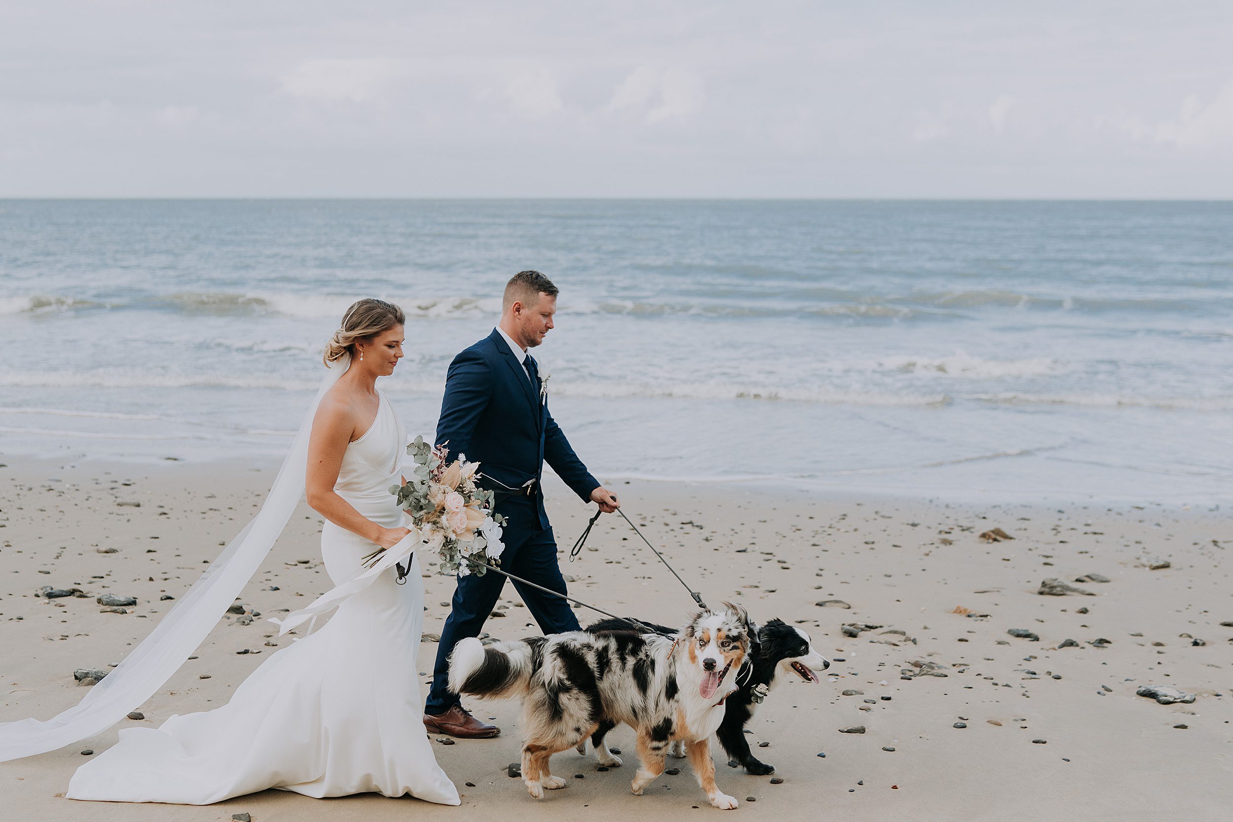 Wedding photos with dogs 